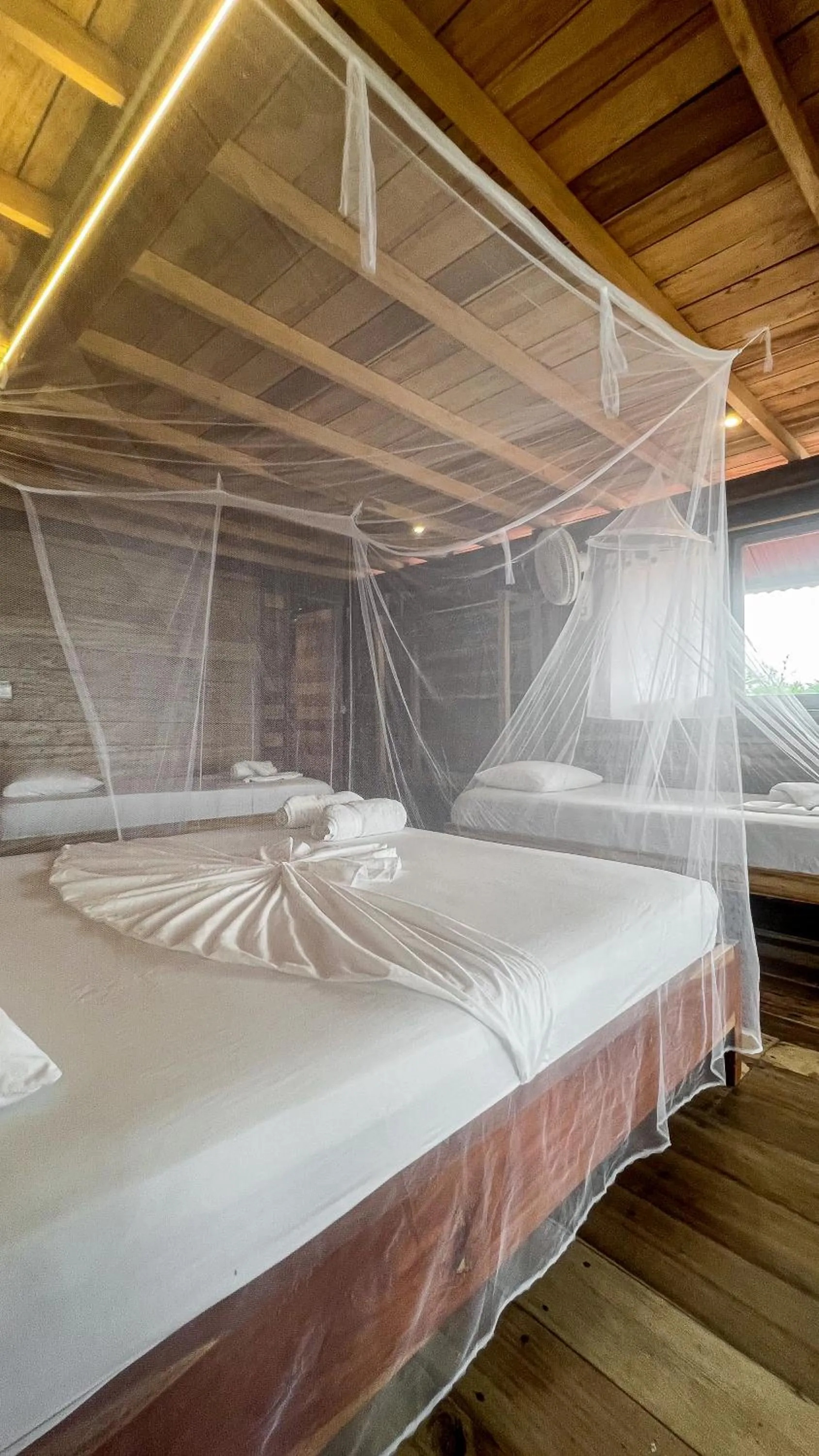 Bed in Hostal MOCAMBO BEACH