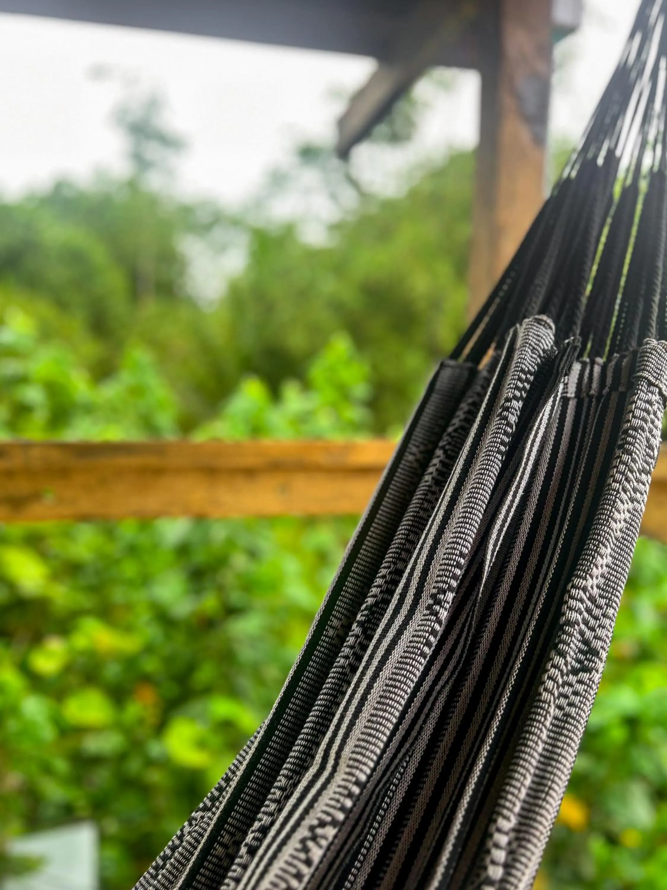 Spring in Hostal MOCAMBO BEACH