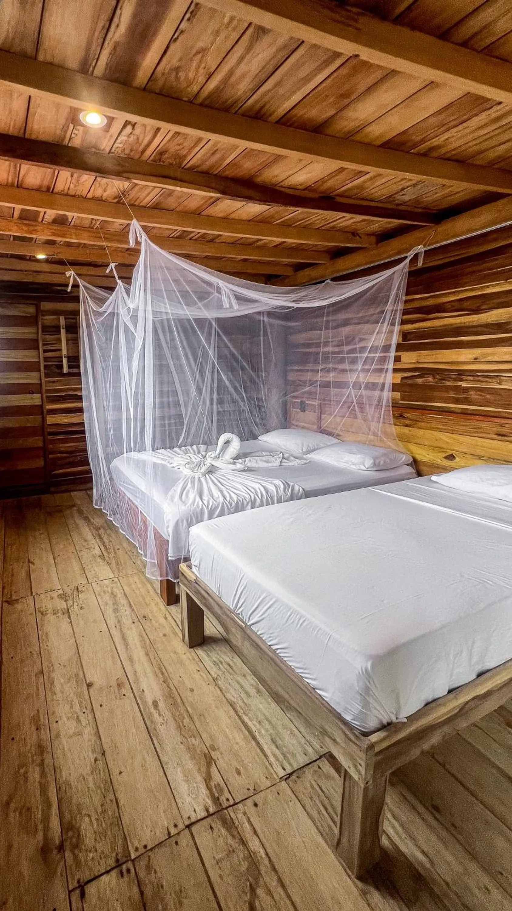 Bed in Hostal MOCAMBO BEACH