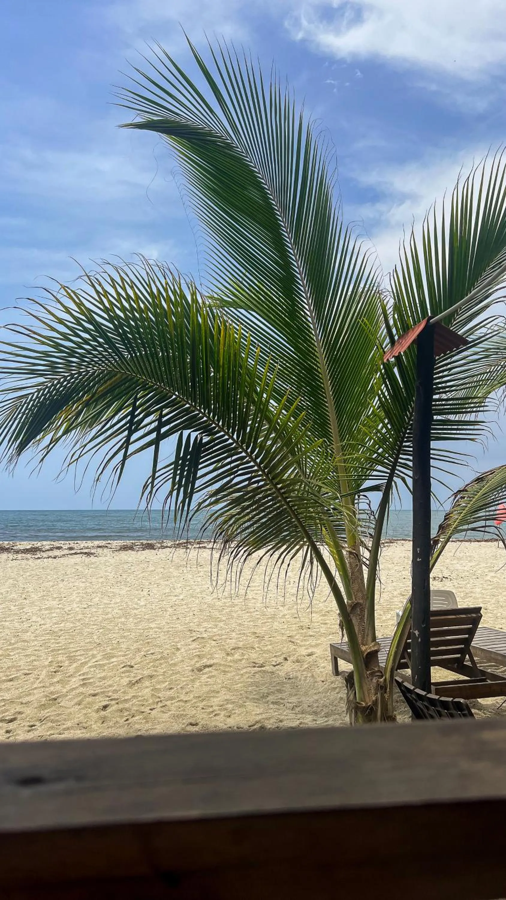 Day in Hostal MOCAMBO BEACH