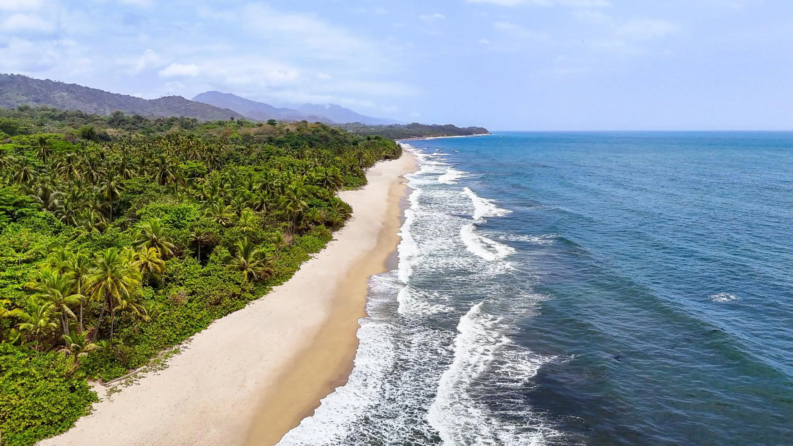 Natural landscape in Hostal MOCAMBO BEACH