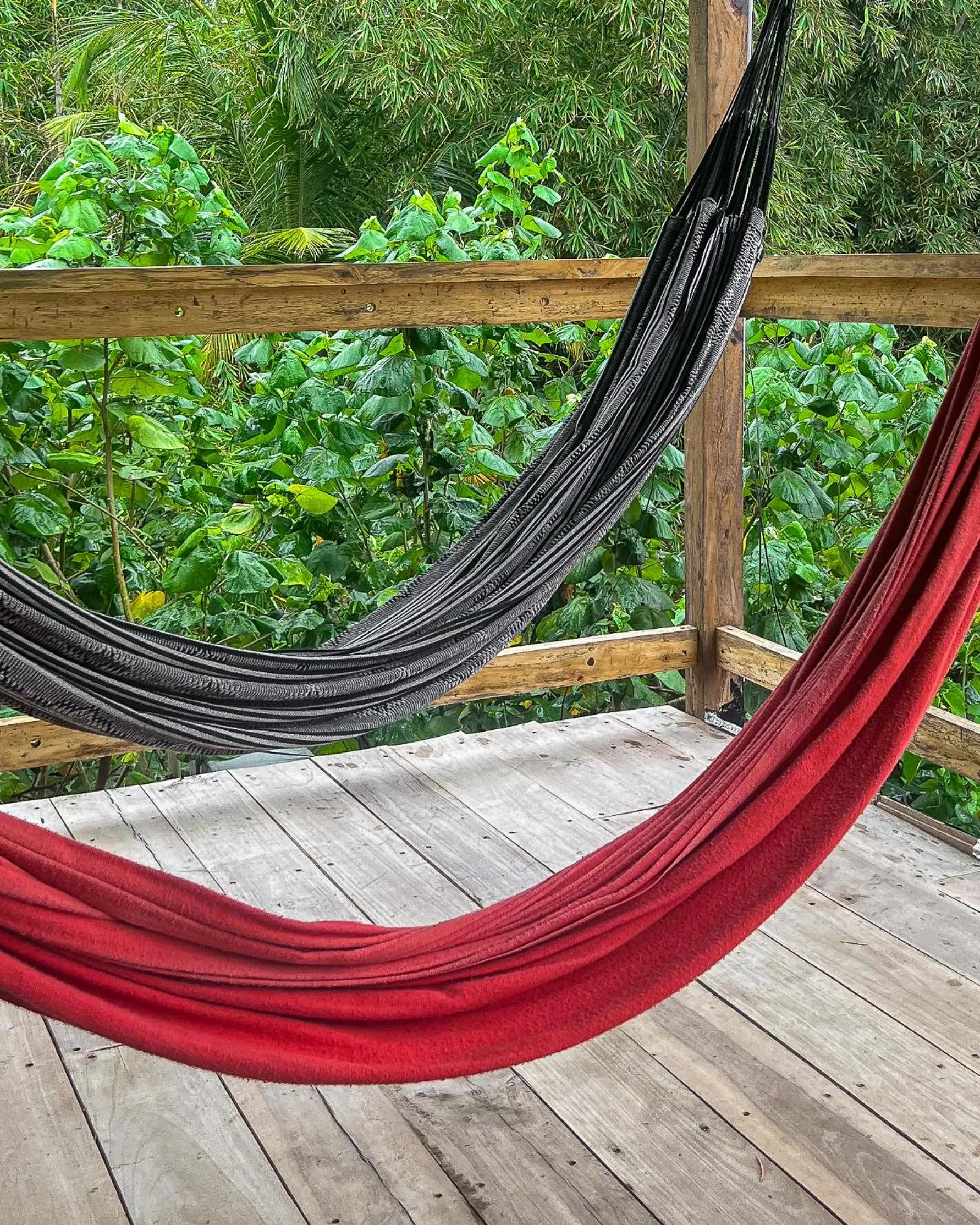 Day in Hostal MOCAMBO BEACH