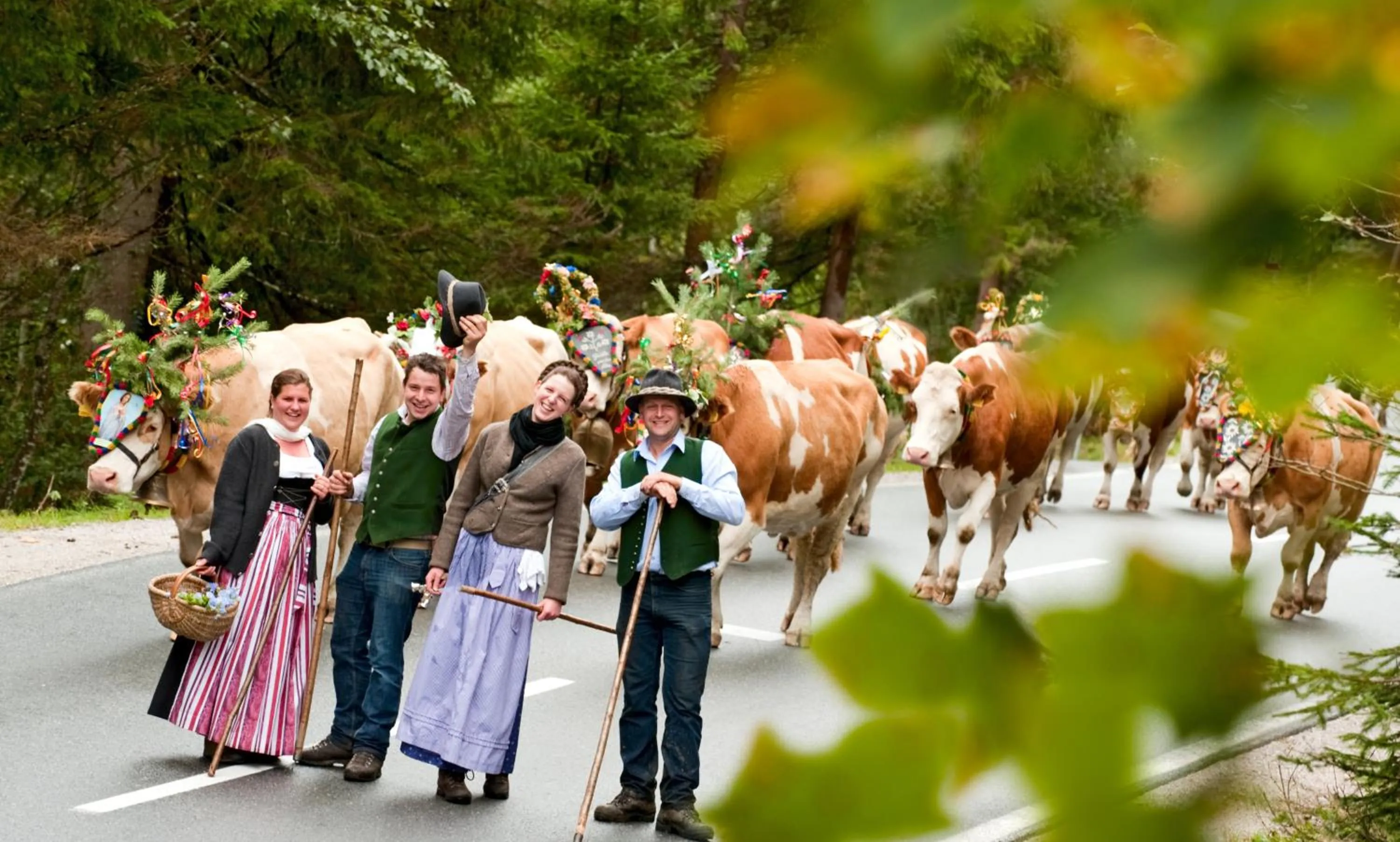 Area and facilities in Vorderwiesgut