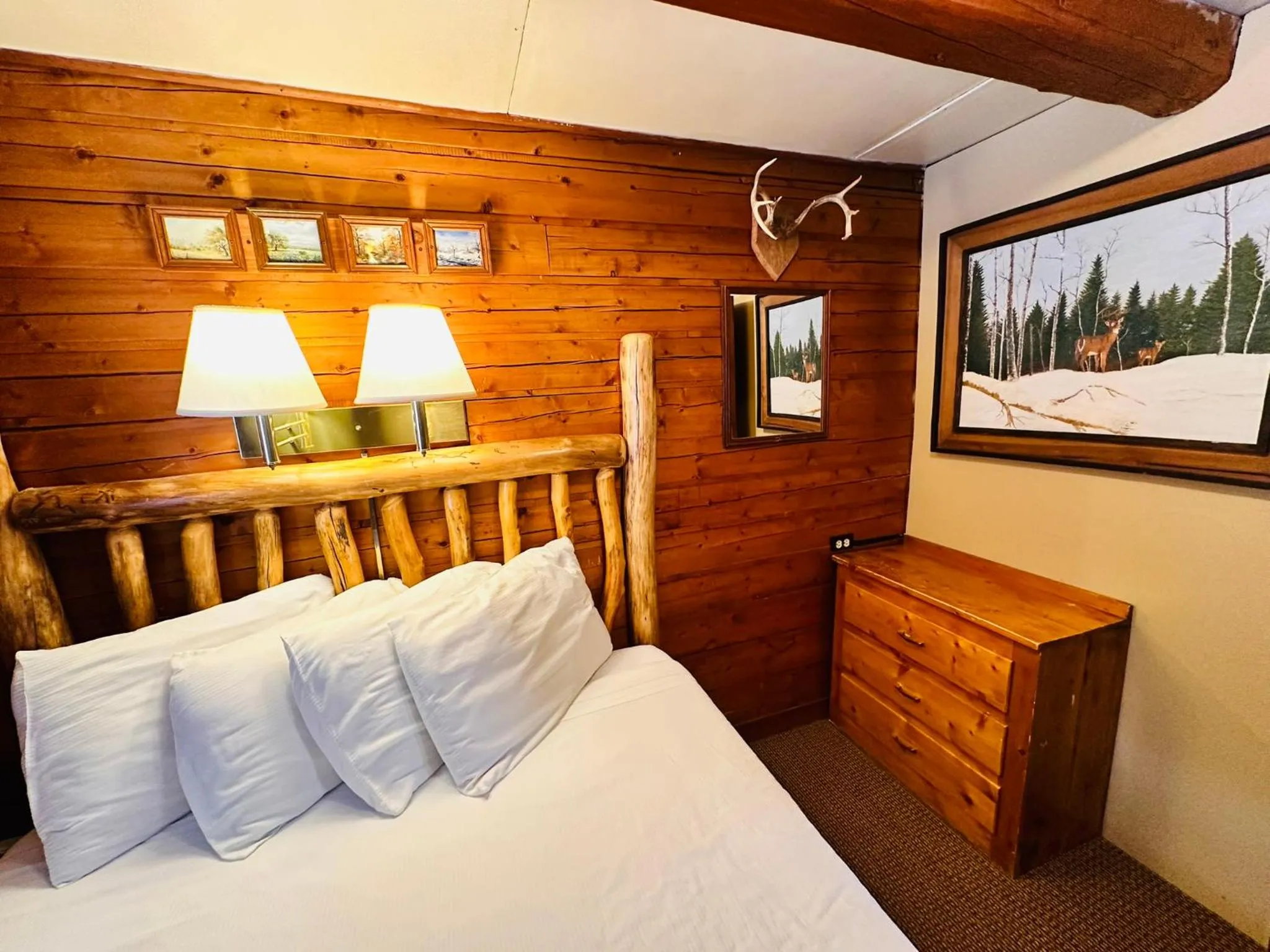 Ute Bluff Lodge, Cabins and RV park