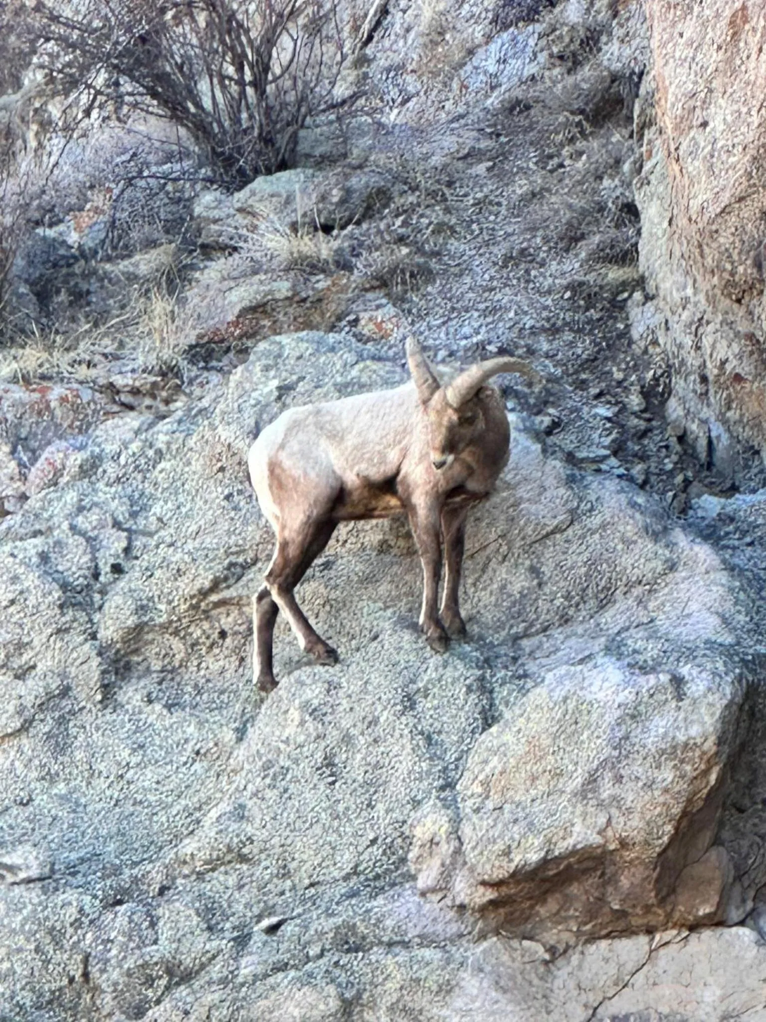 Ute Bluff Lodge, Cabins and RV park