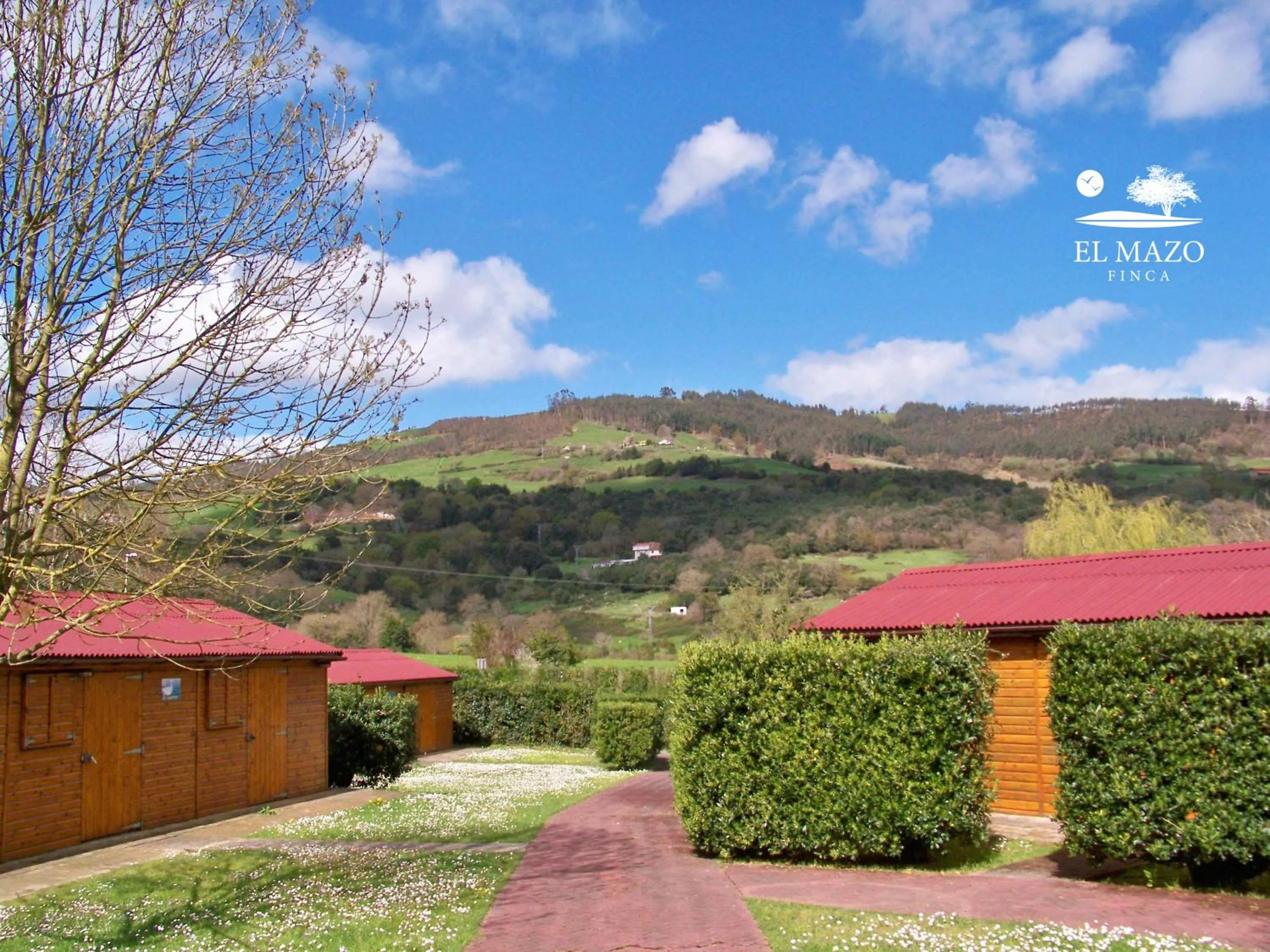 Photo of the whole room in Albergue Finca El Mazo