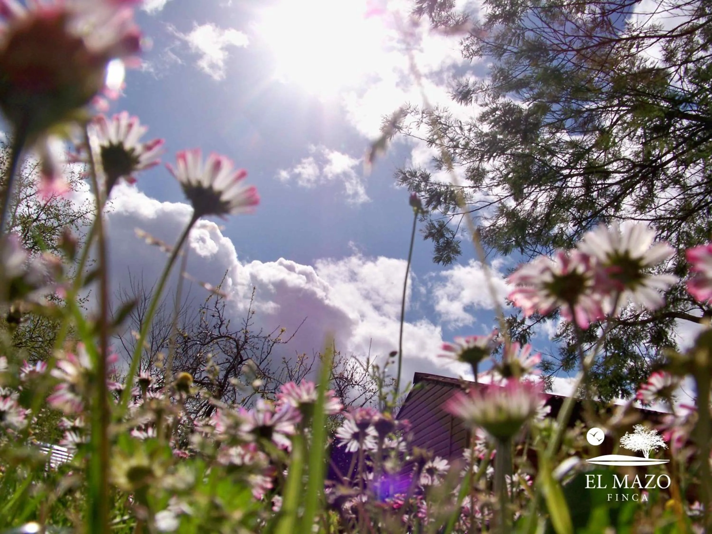 Off site in Albergue Finca El Mazo