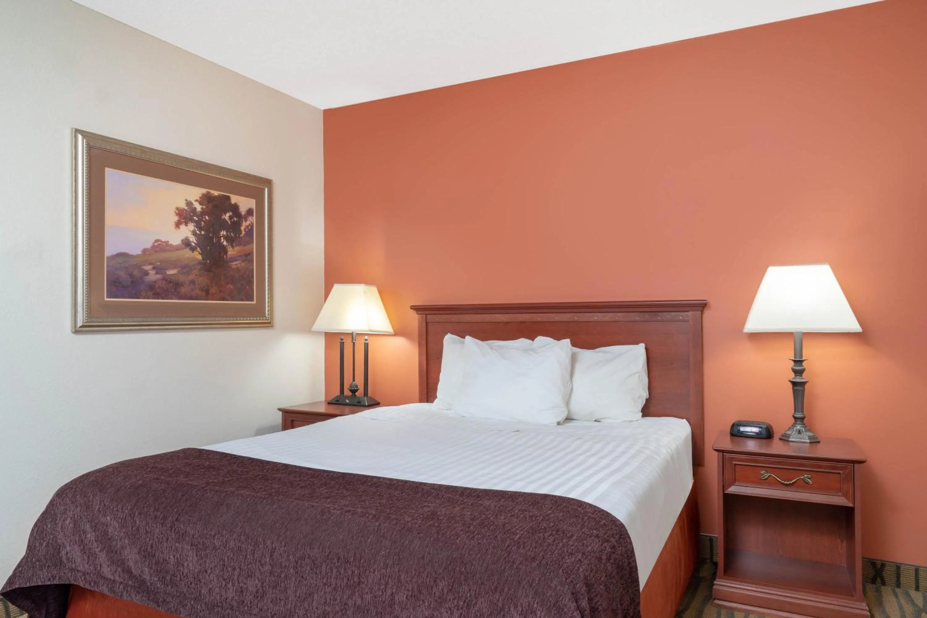 Bedroom, Bed in Aspen Hotel Rogers Formerly Americ inn