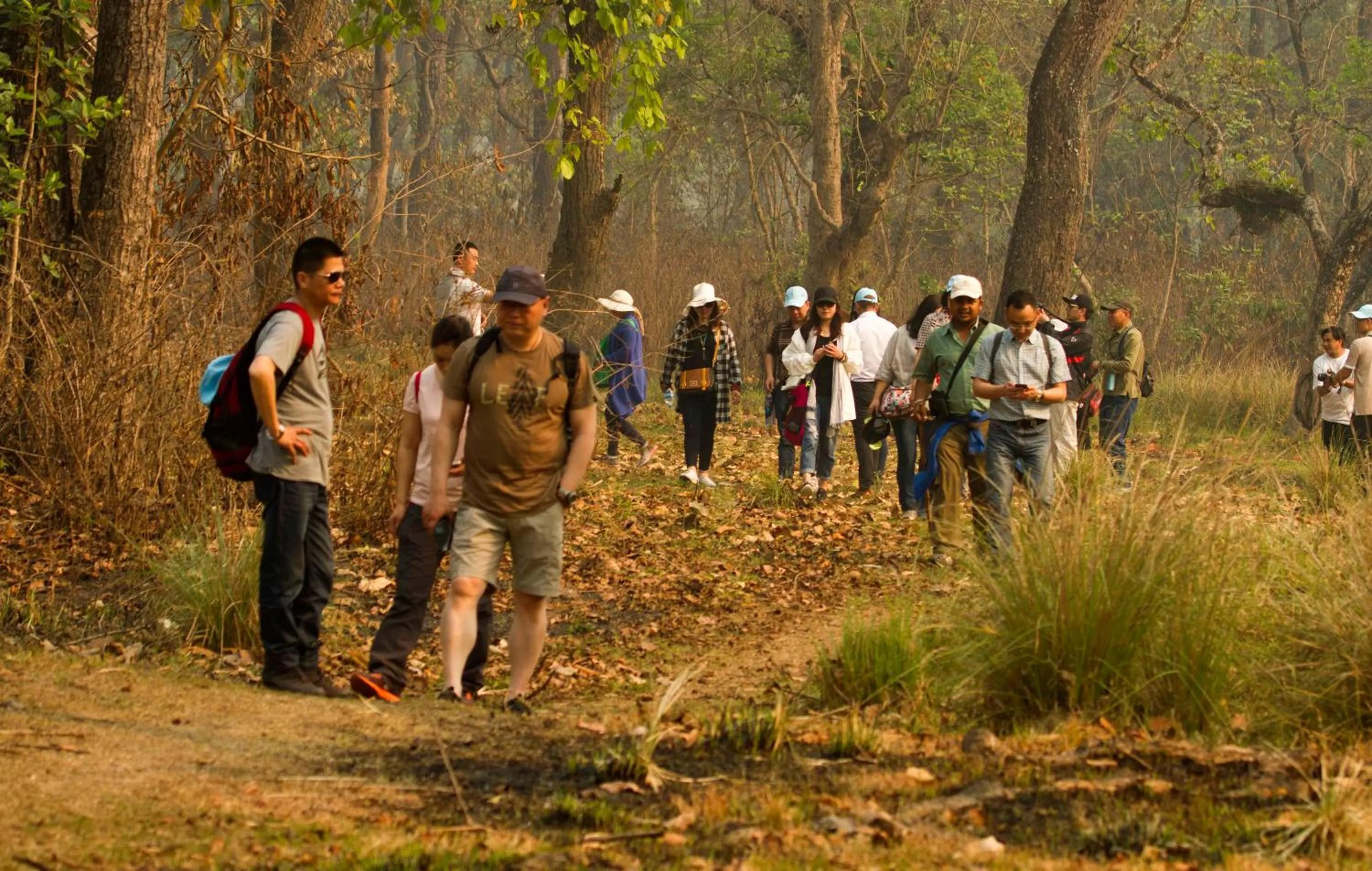 Hiking in Hotel Parkland