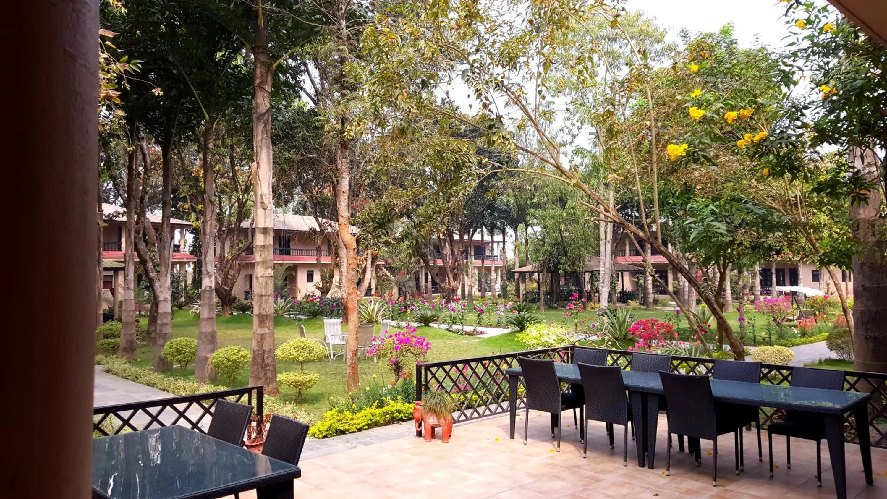 Garden in Hotel Parkland