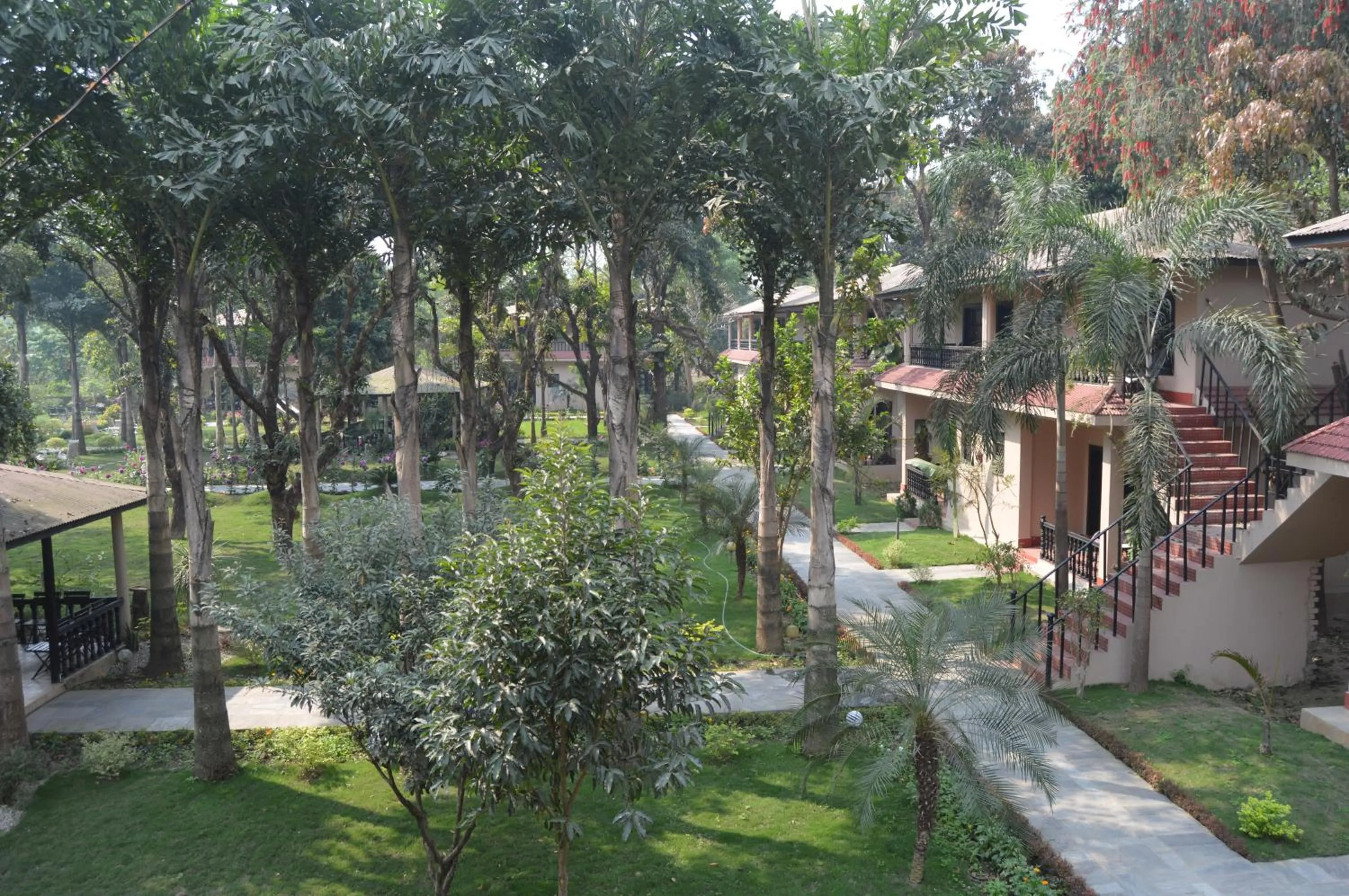 Garden in Hotel Parkland