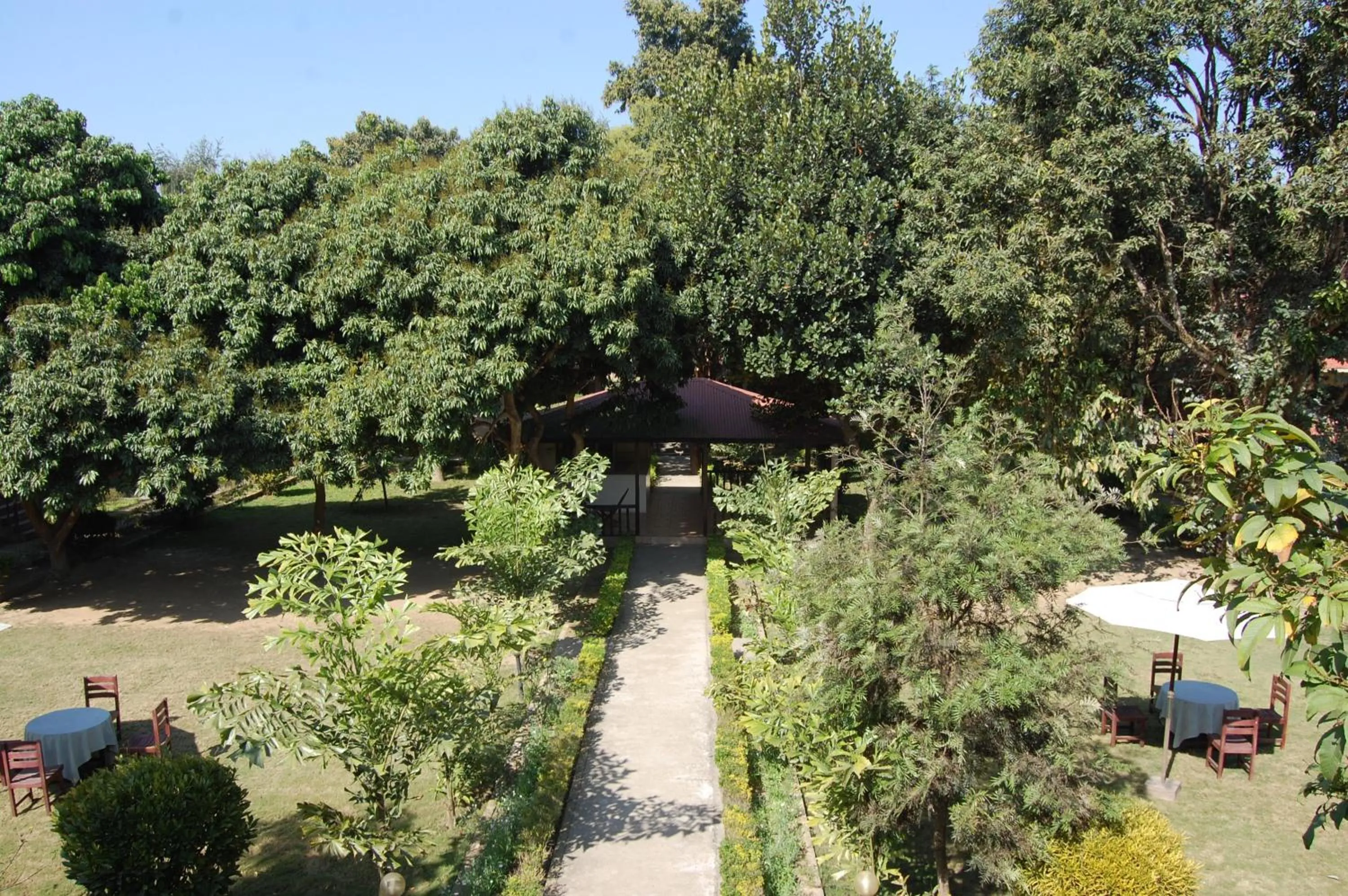 Garden in Hotel Parkland