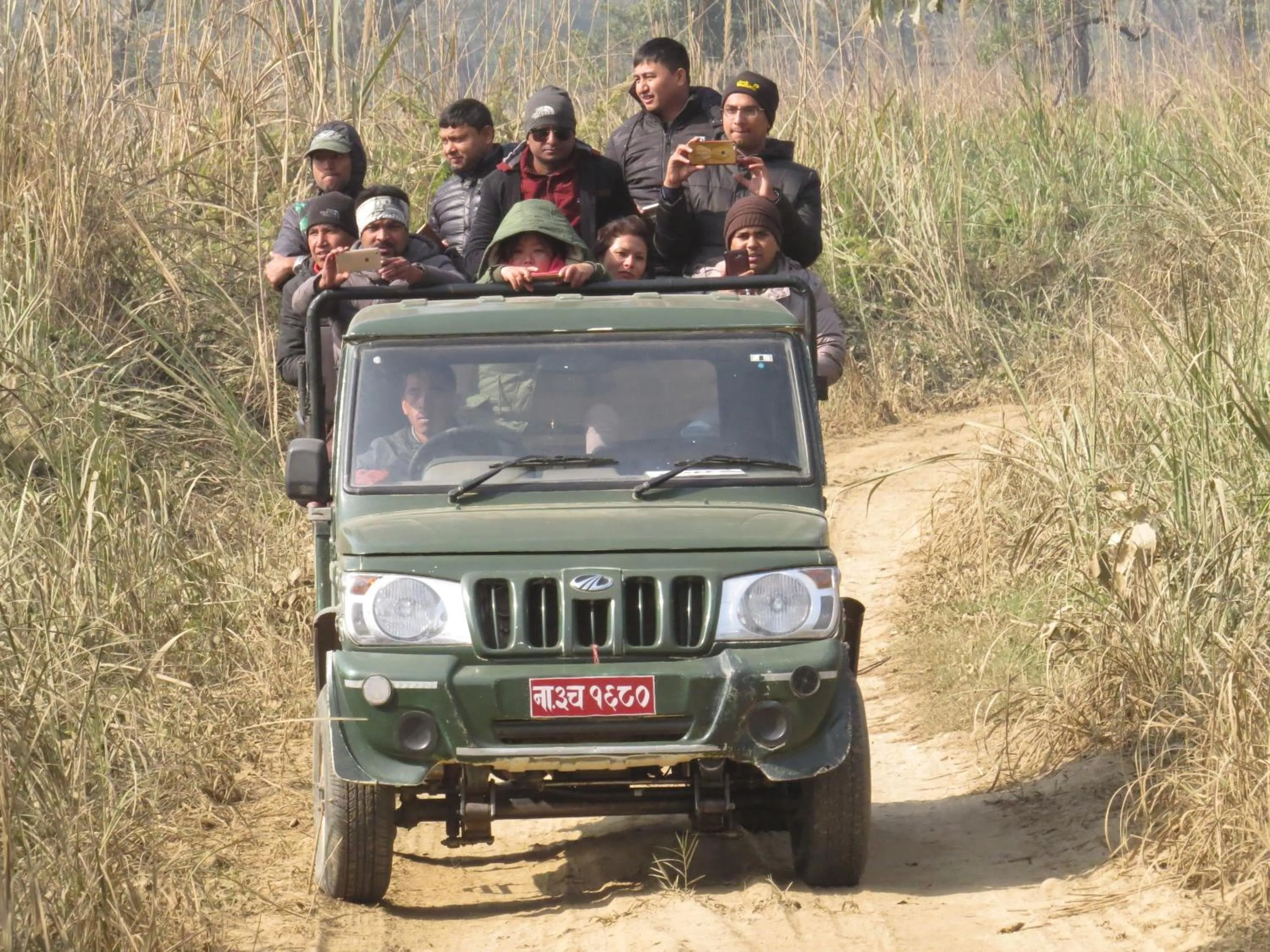 Diving in Hotel Parkland