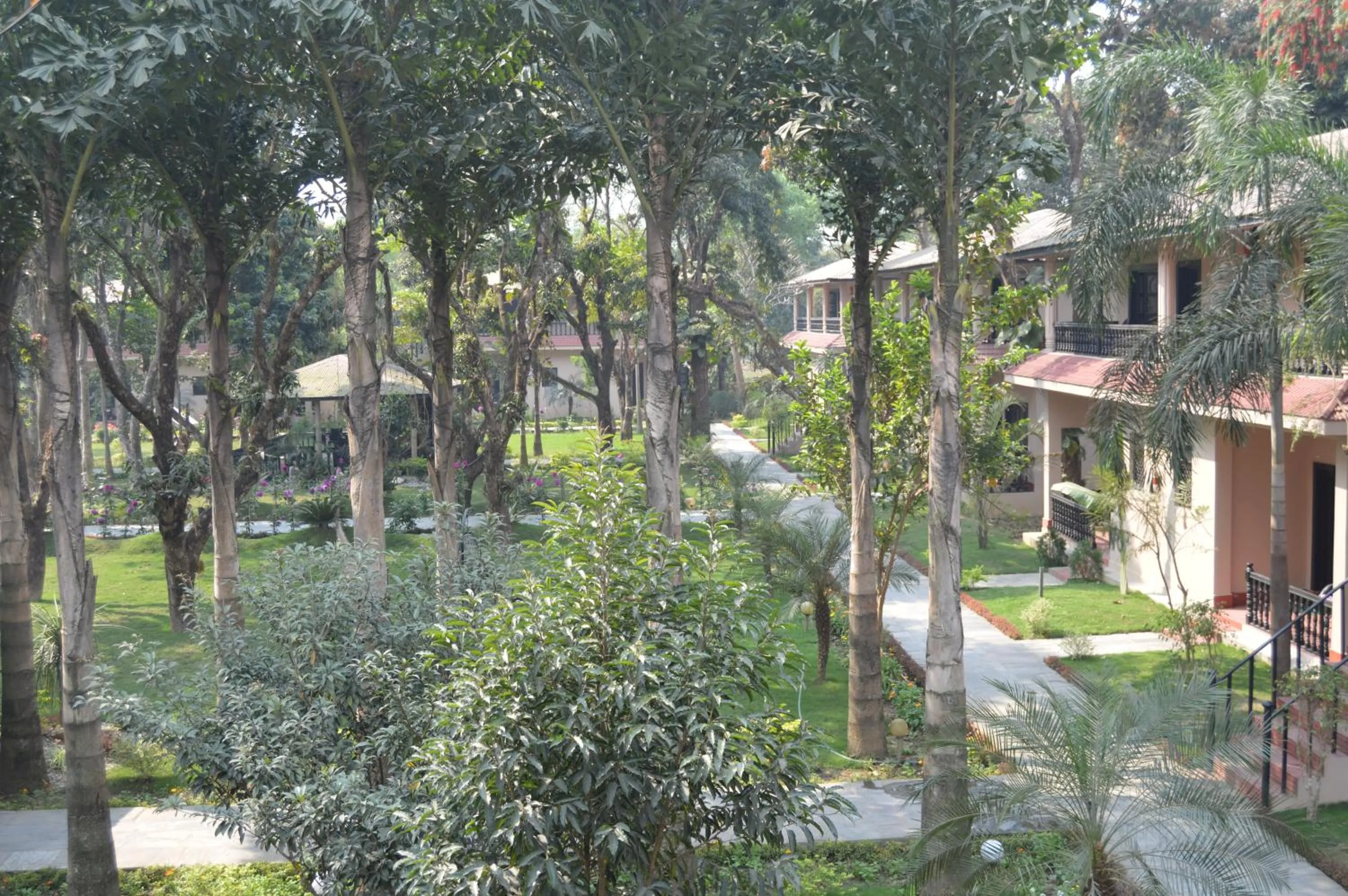 Bird's eye view in Hotel Parkland