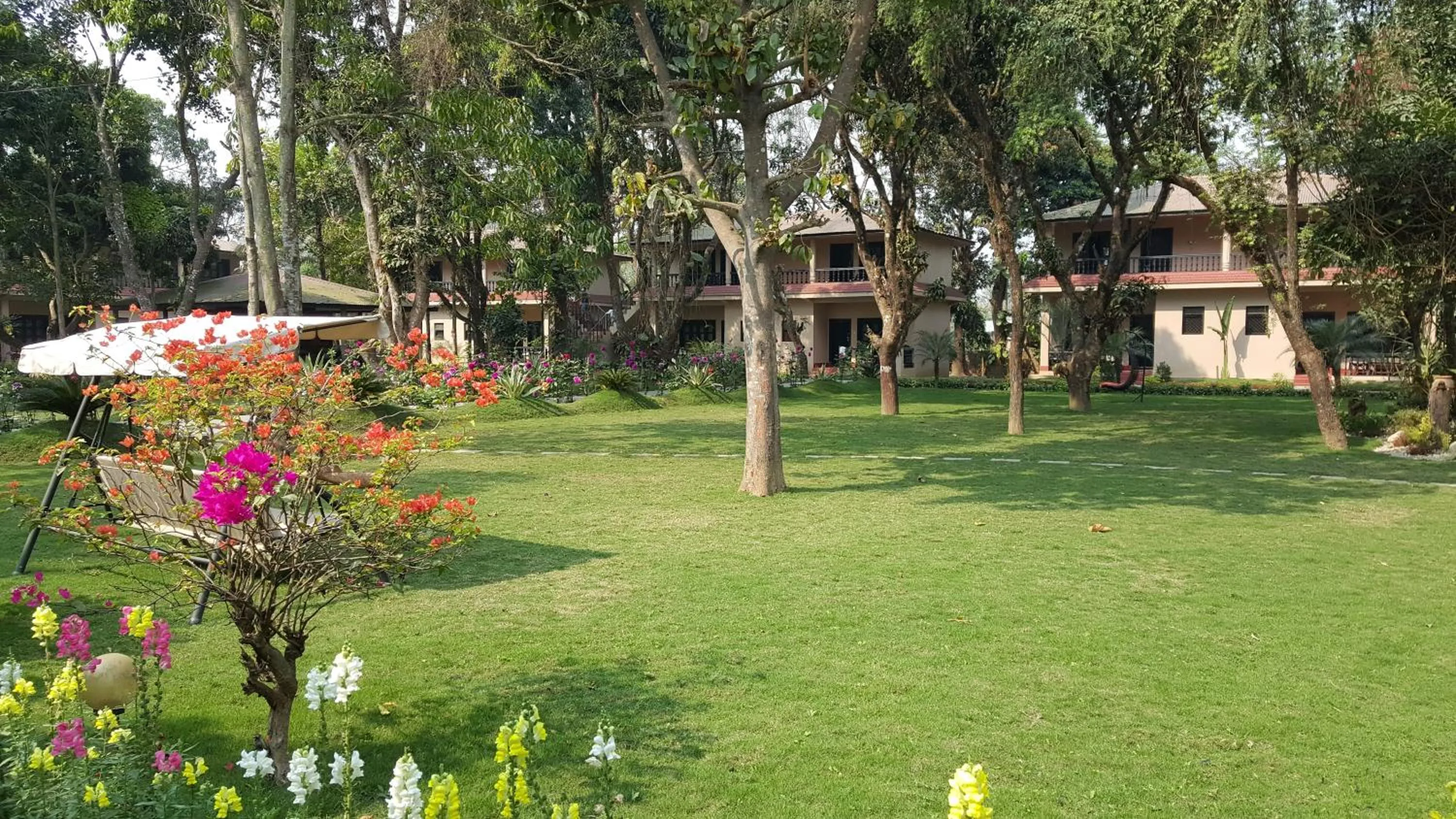 Garden in Hotel Parkland