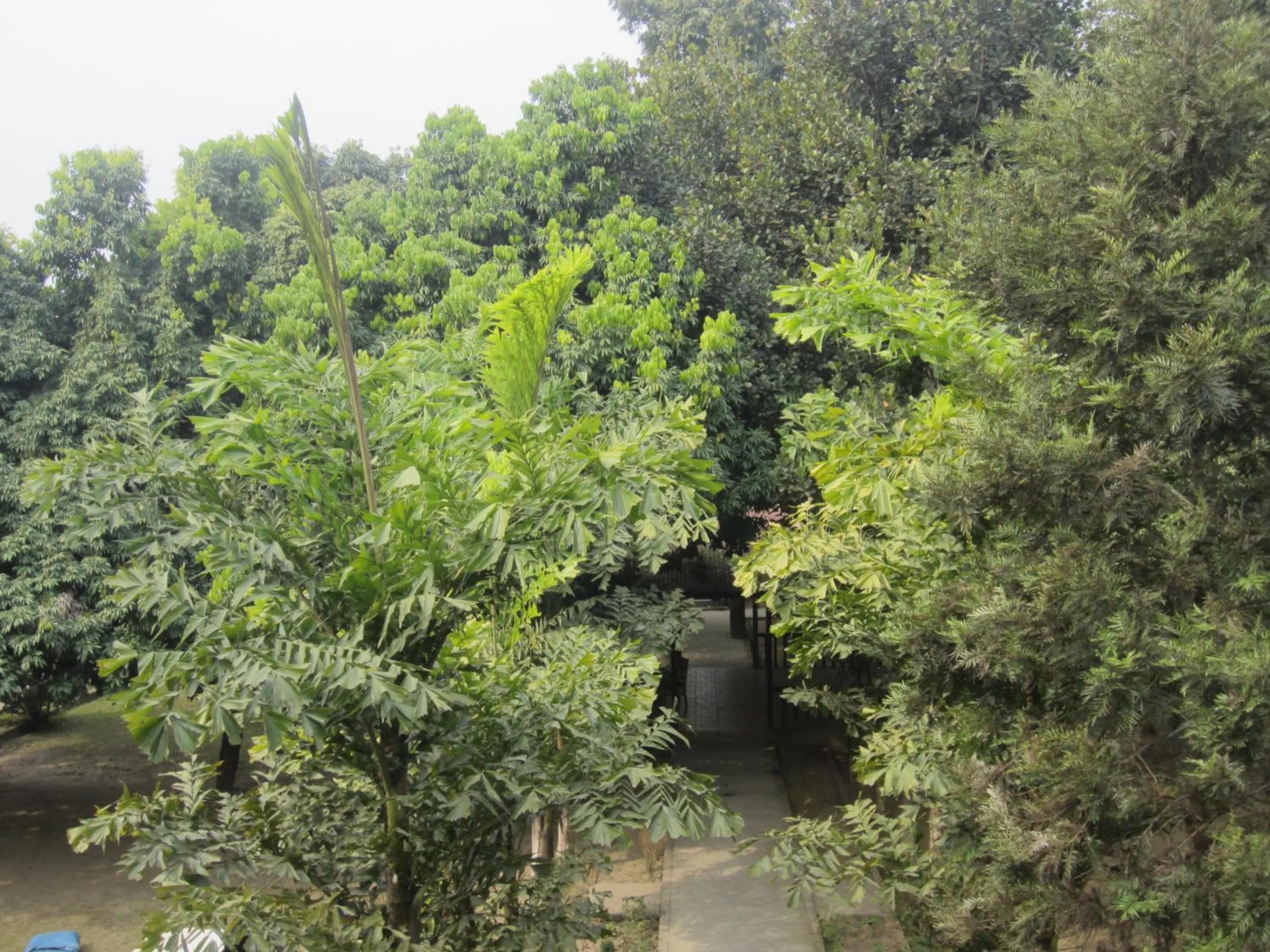 Garden view in Hotel Parkland