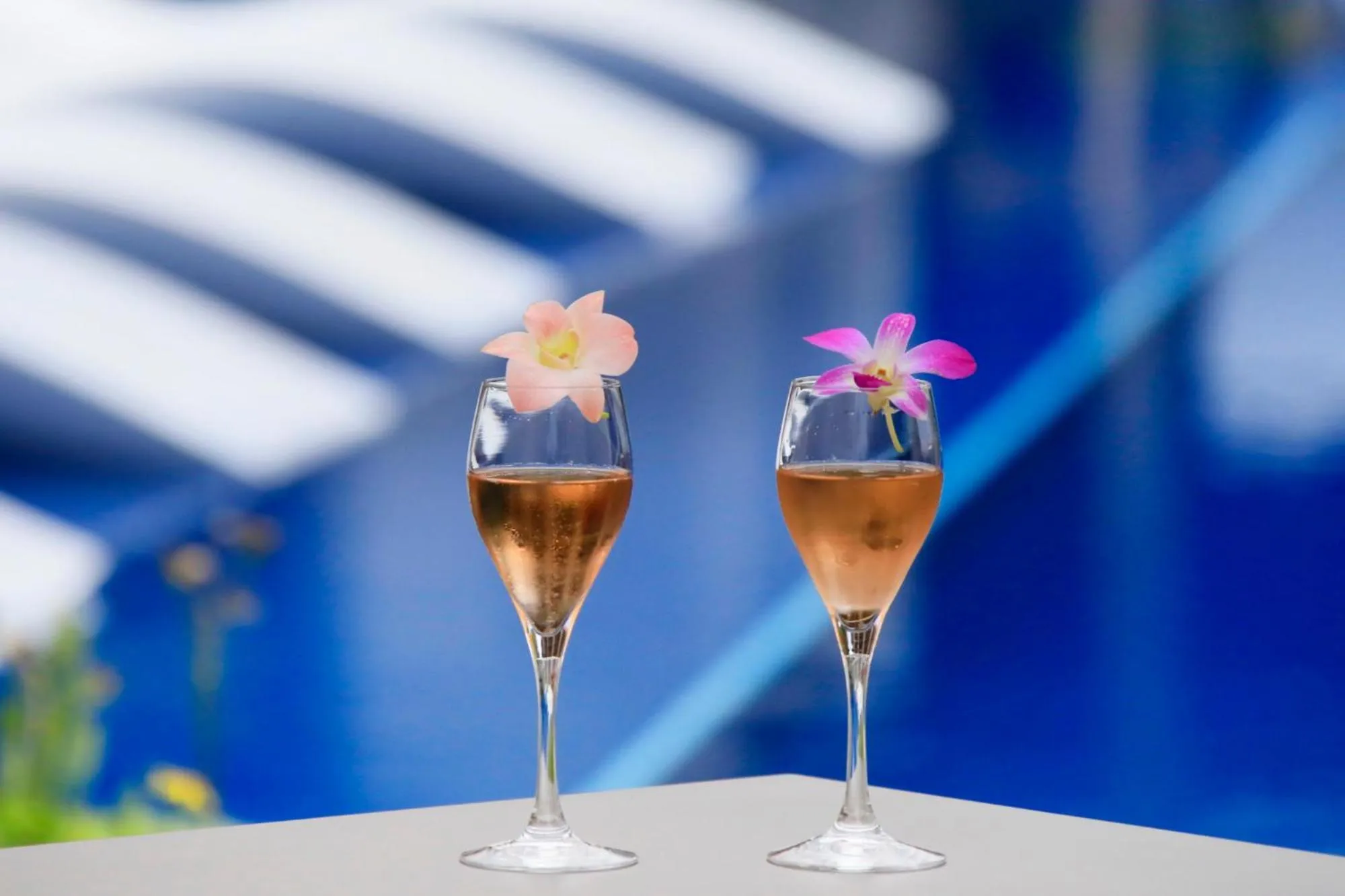 Lounge or bar in VIVOVIVA石垣島