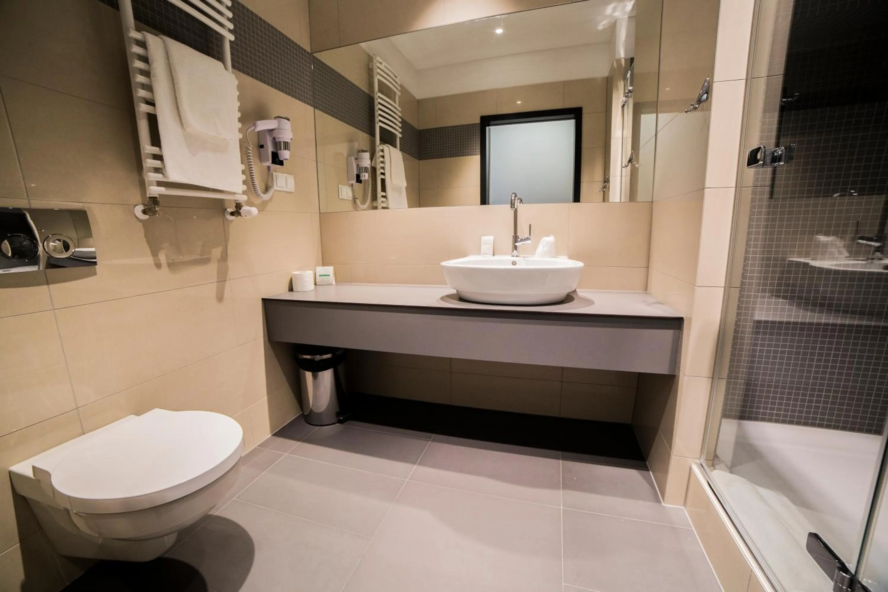 Bathroom in Hotel Meeting