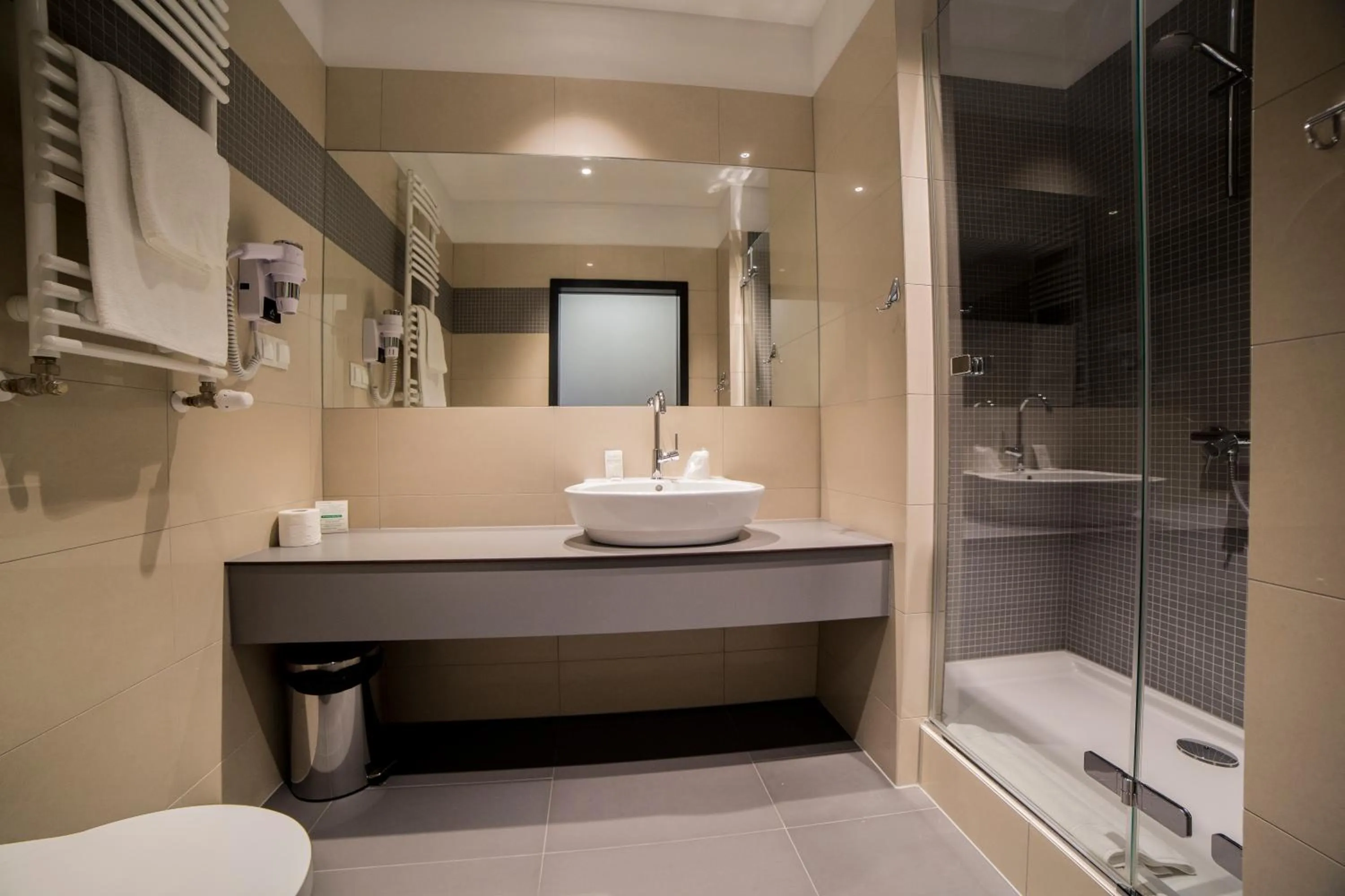 Bathroom in Hotel Meeting