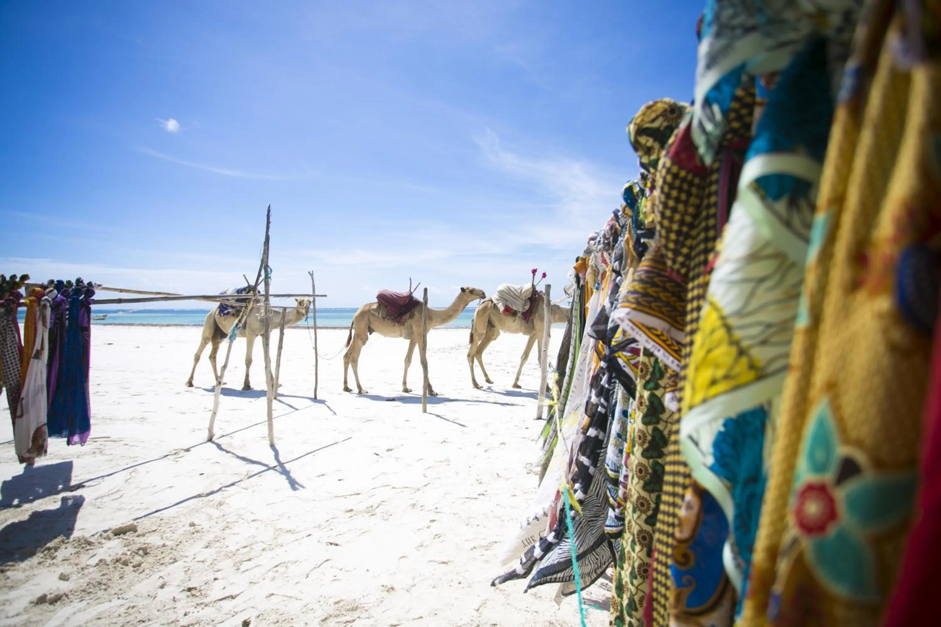 Off site in Diani Sea Lodge - All Inclusive