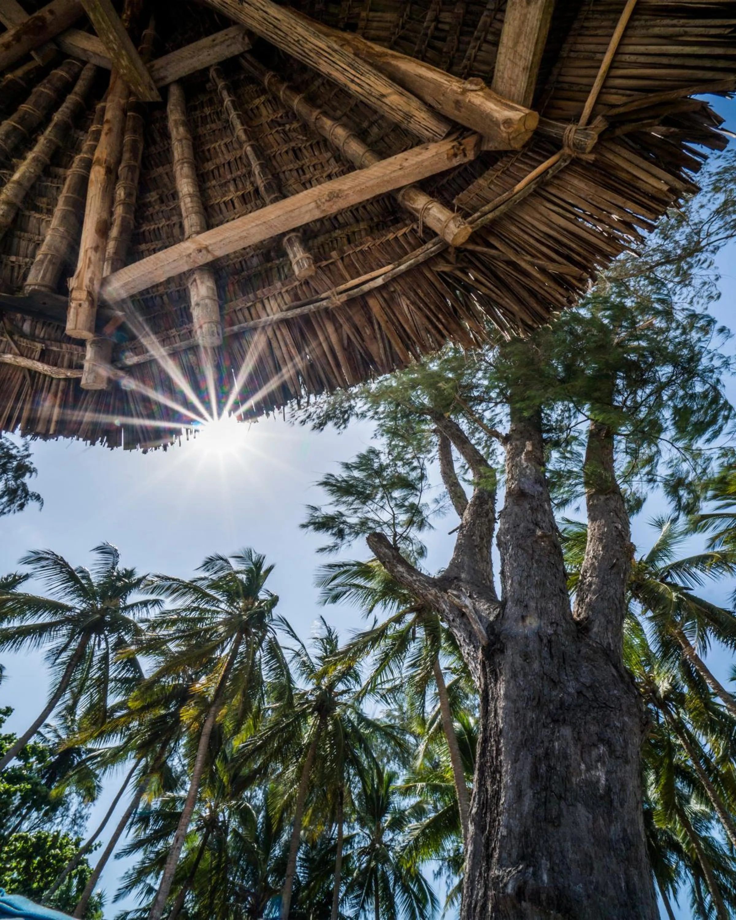 Day in Diani Sea Lodge - All Inclusive