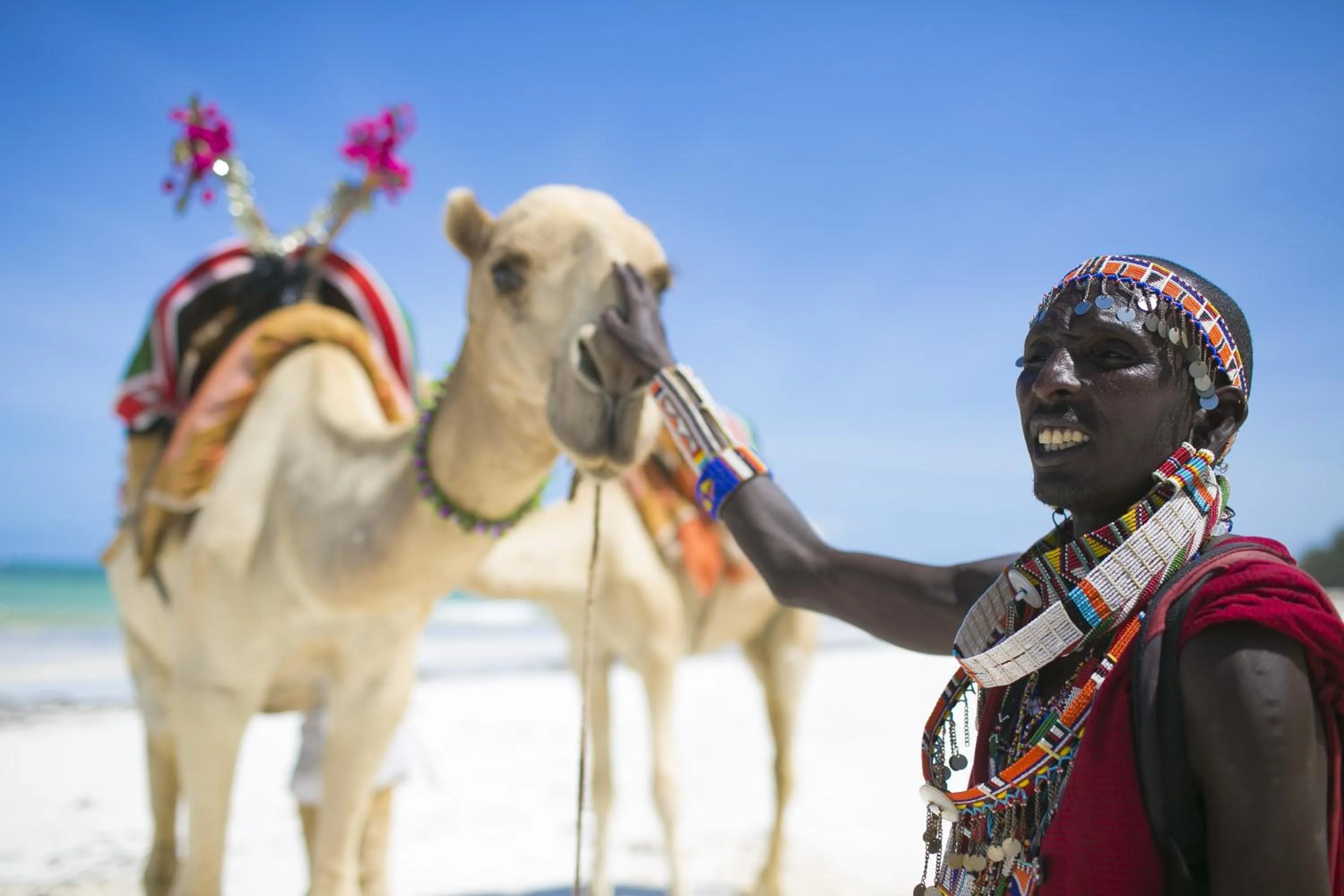 People in Diani Sea Lodge - All Inclusive