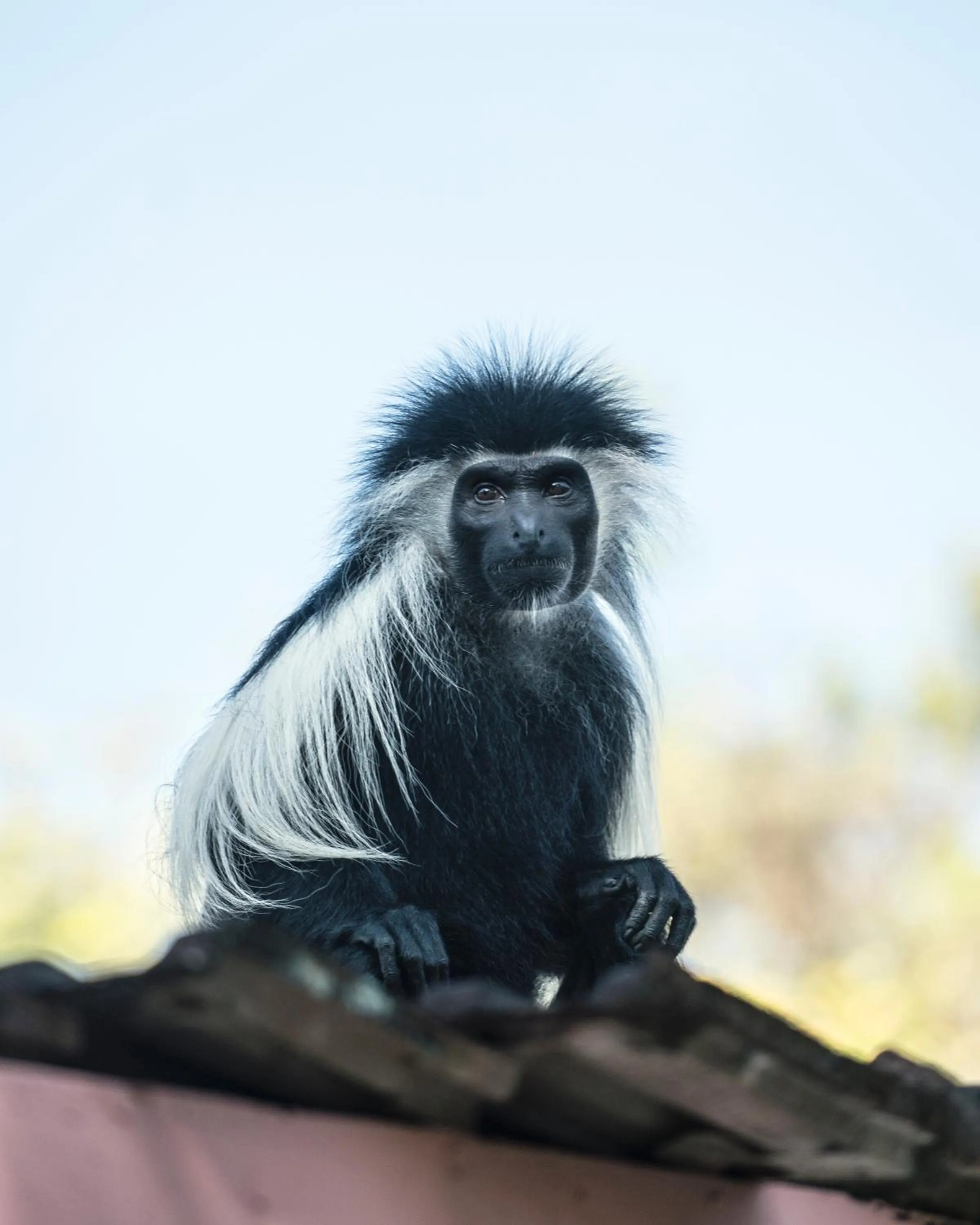 Day in Diani Sea Lodge - All Inclusive