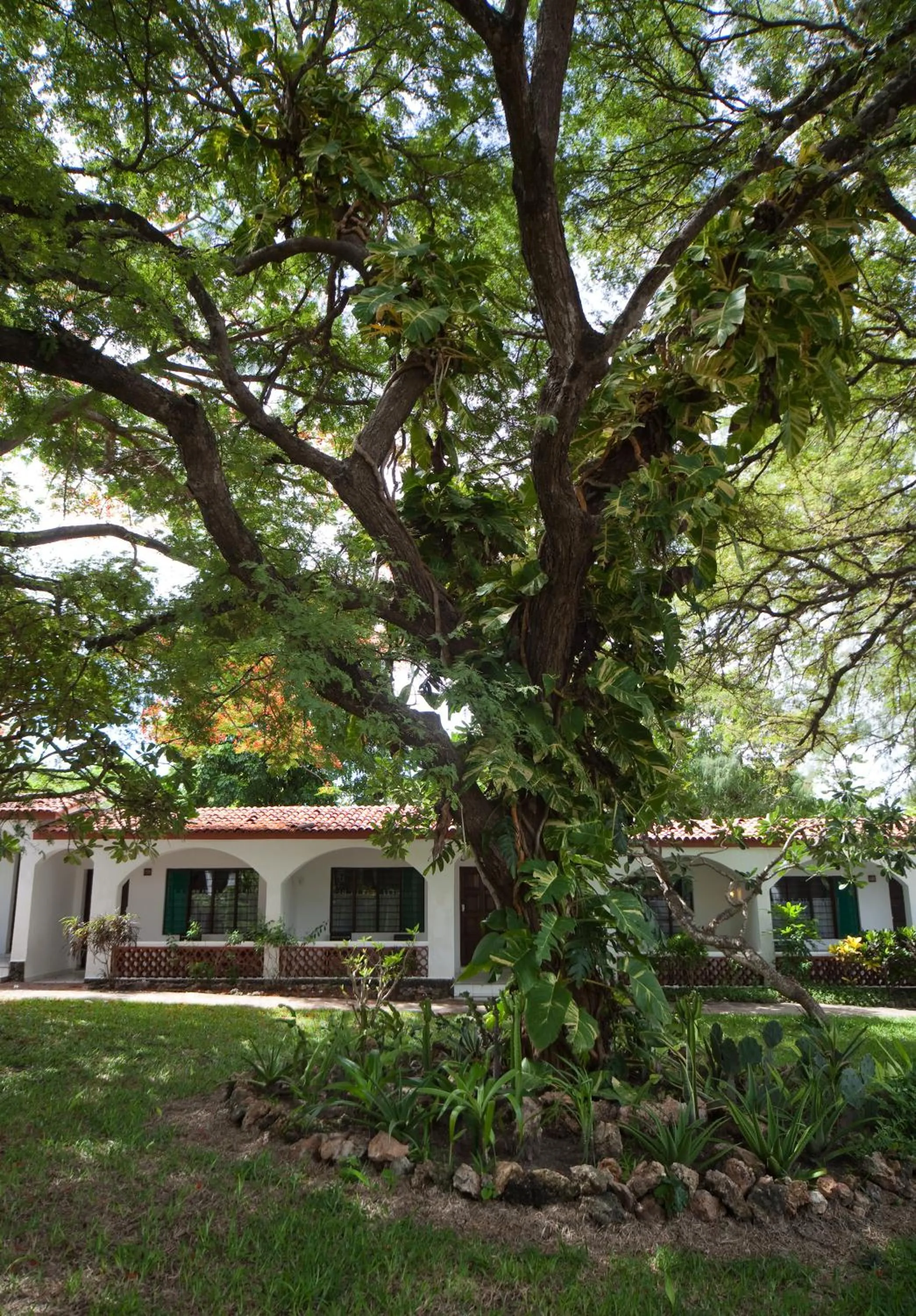 Property building in Diani Sea Lodge - All Inclusive