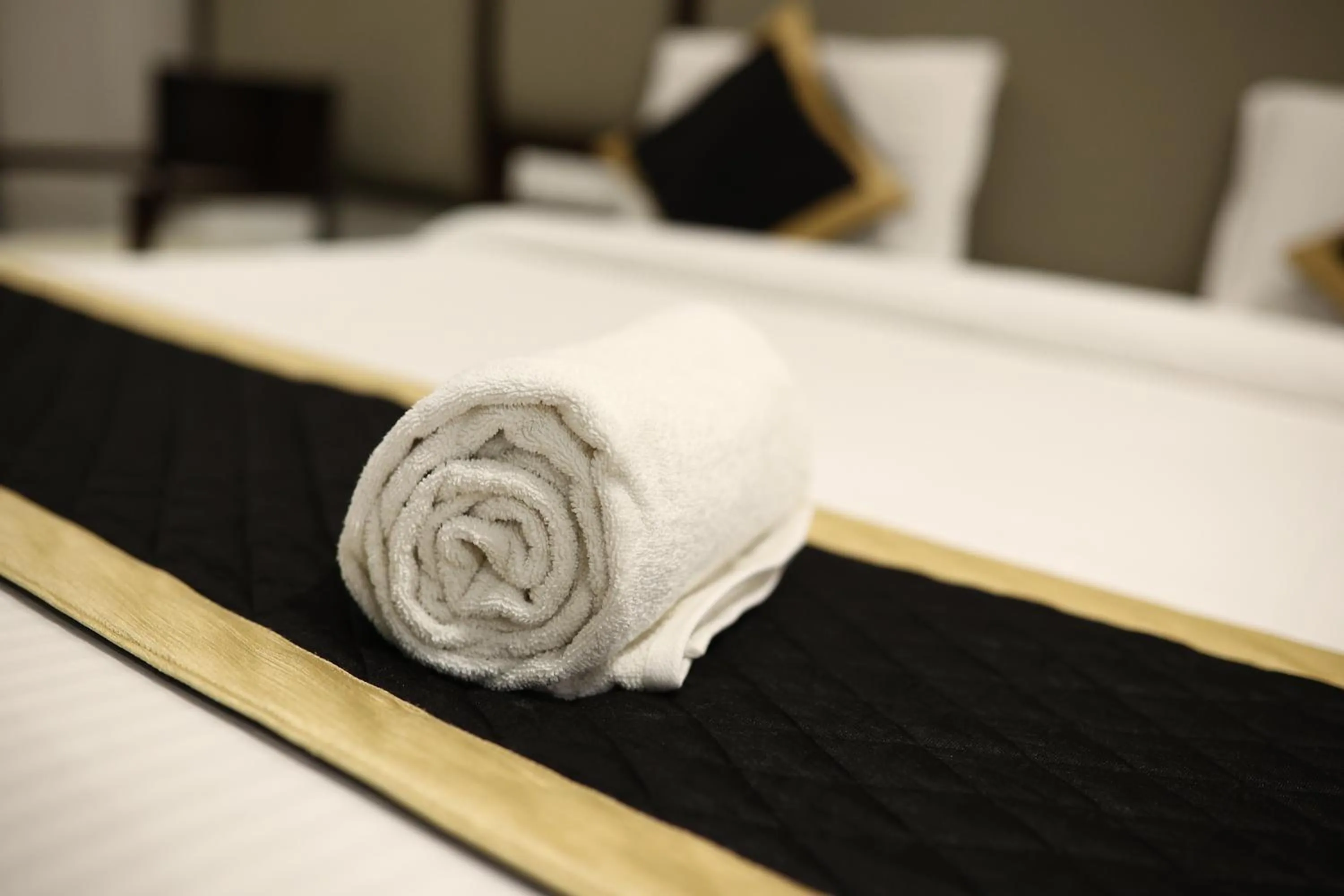 towels in Hotel Saratharajans