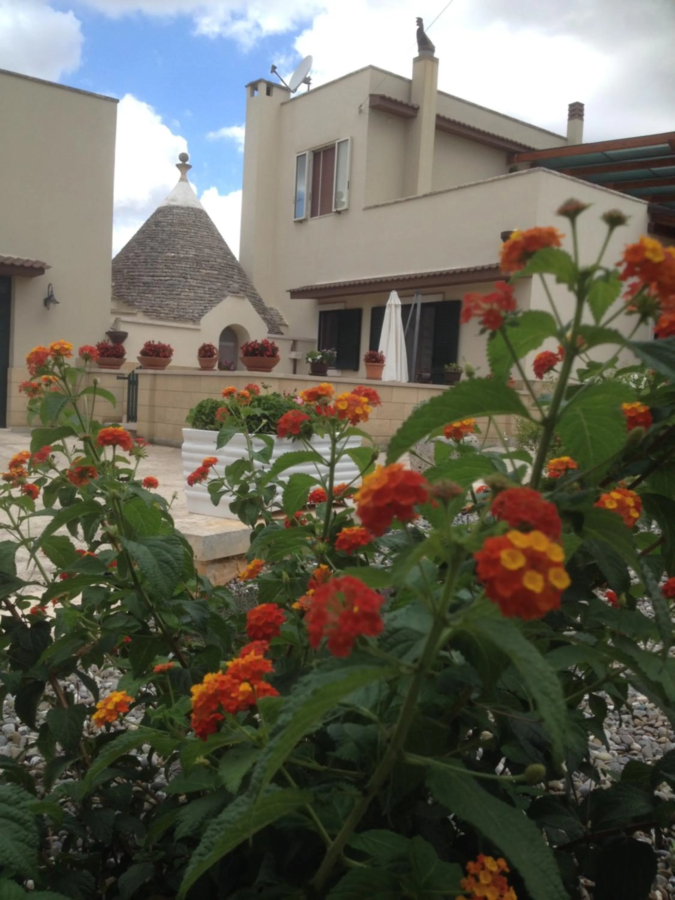 Garden in Casa delle Rondini