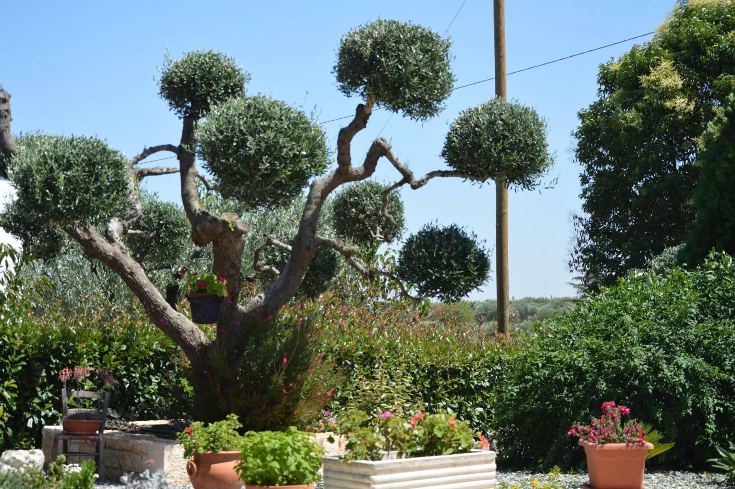 Garden in Casa delle Rondini