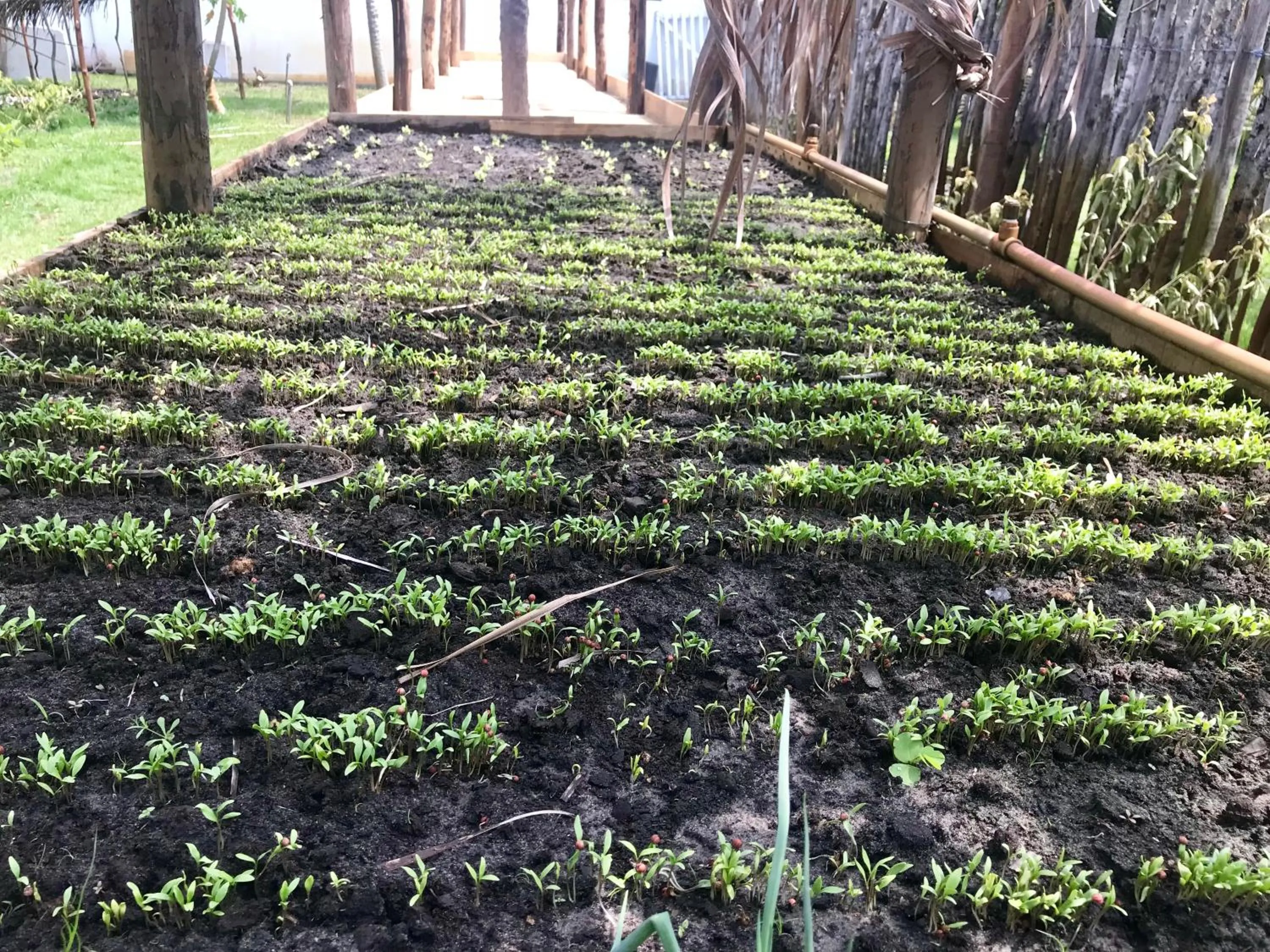 Spring in Hotel Pousada Rancho das Dunas