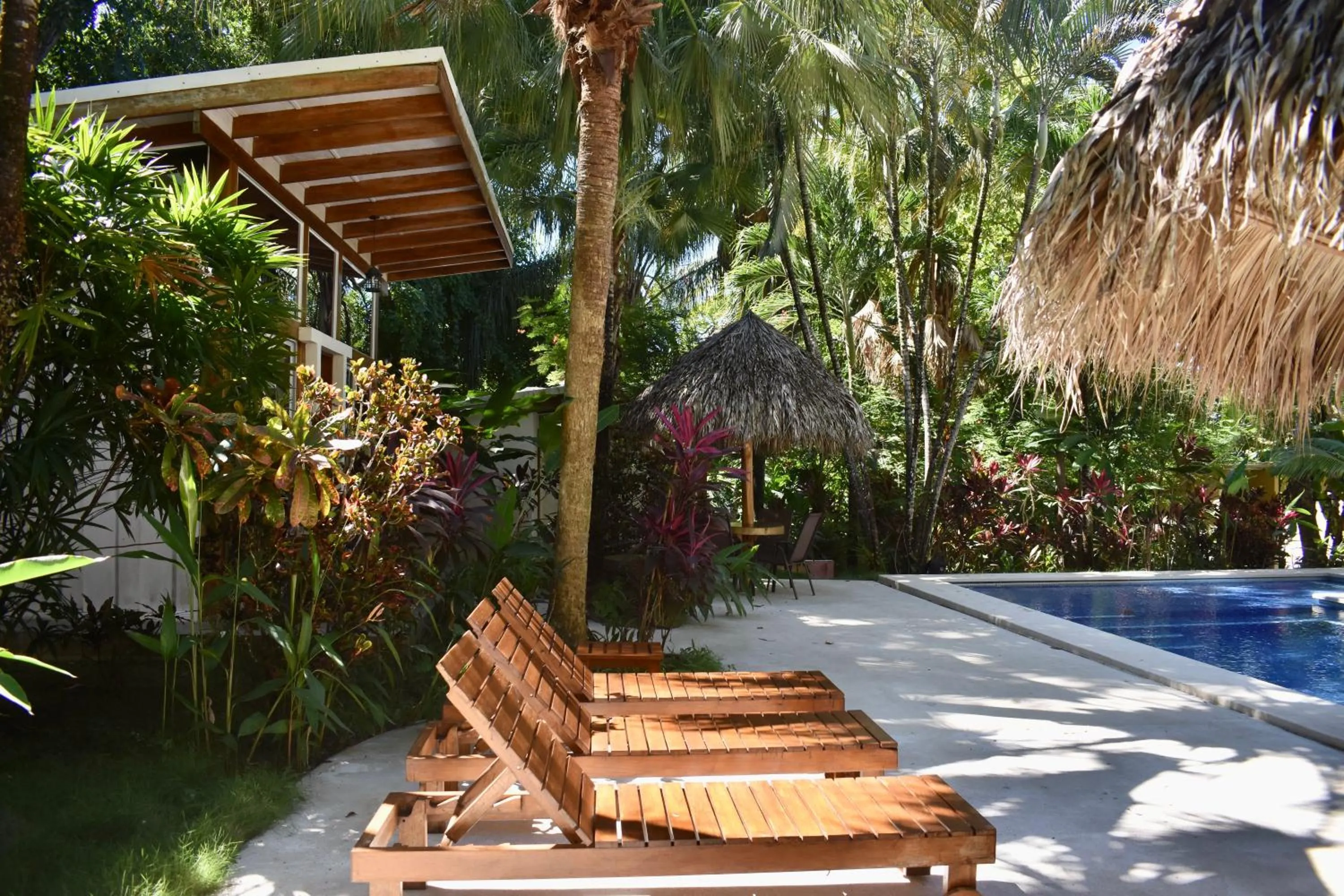 Garden in Fuego Lodge