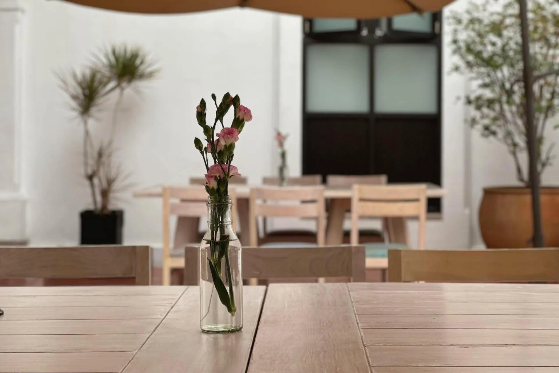 Patio in Hotel La Casa de María