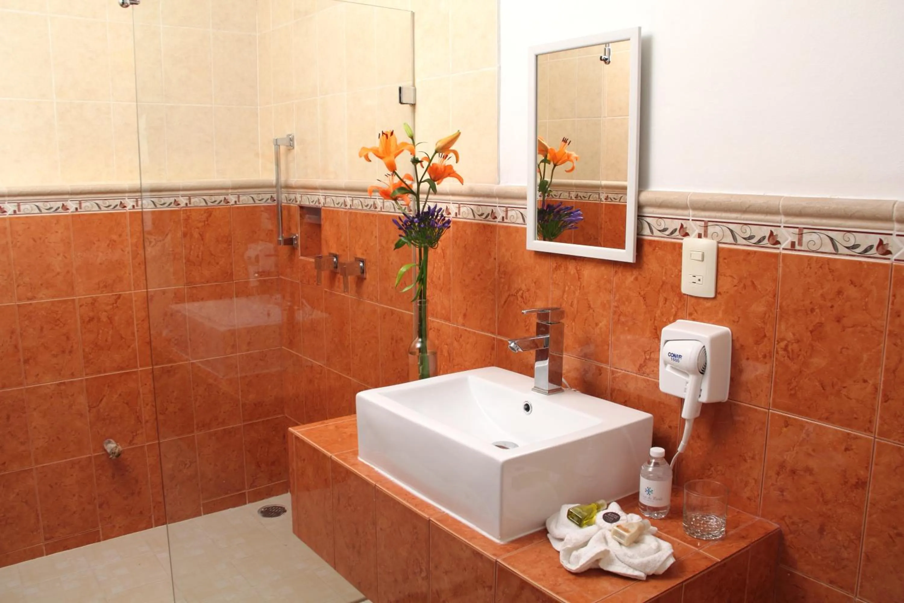 Shower in Hotel La Casa de María