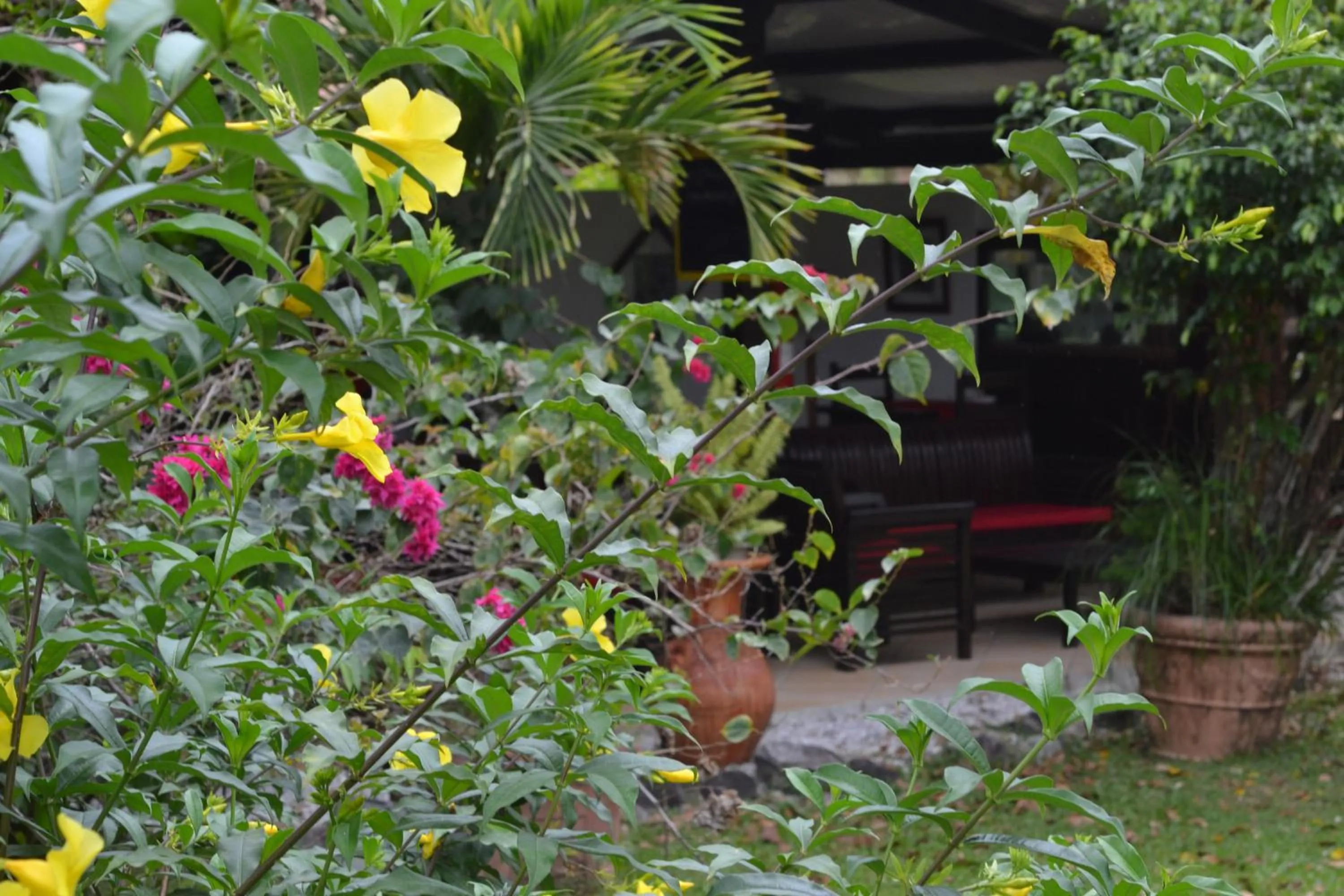 Natural landscape in Hotel La Chaumiere