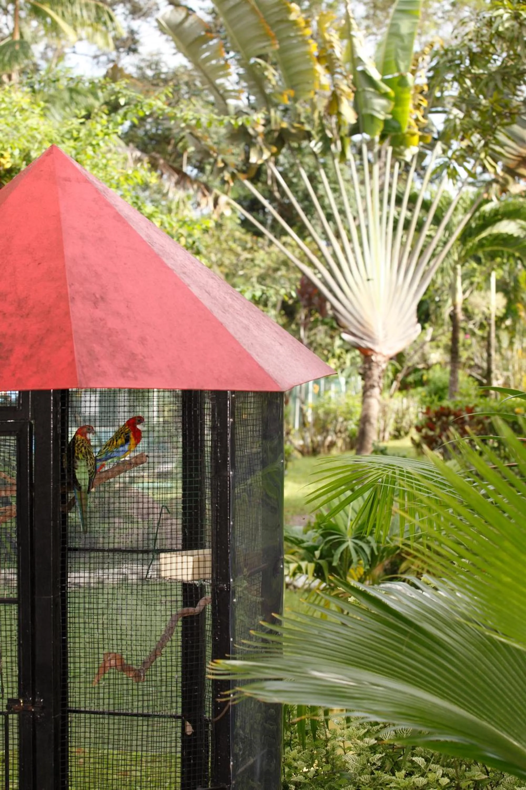 Day in Hotel La Chaumiere