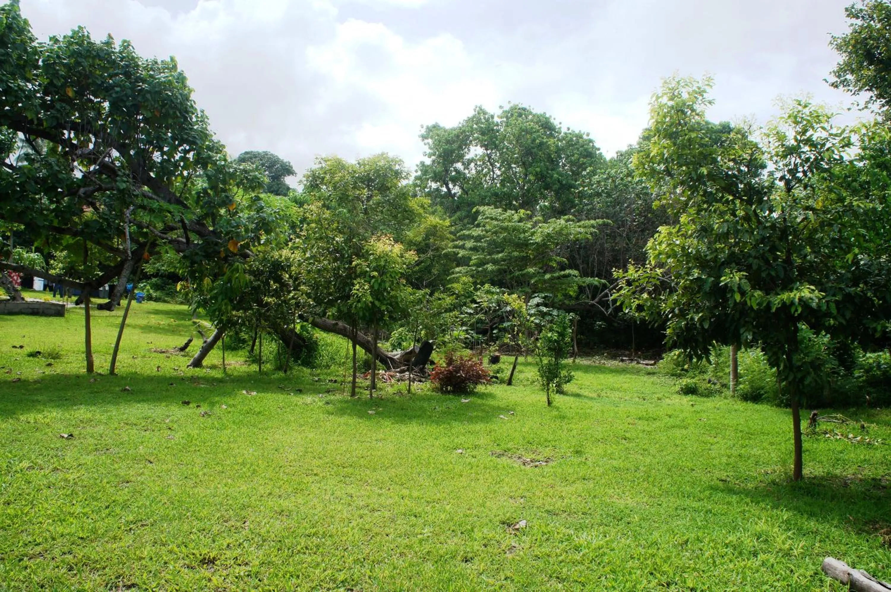 Facade/entrance in Alofa Beach Bungalows