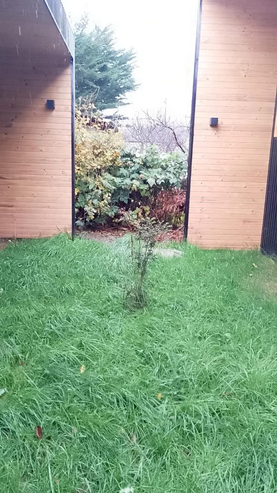 Garden in Hotel Bacaris