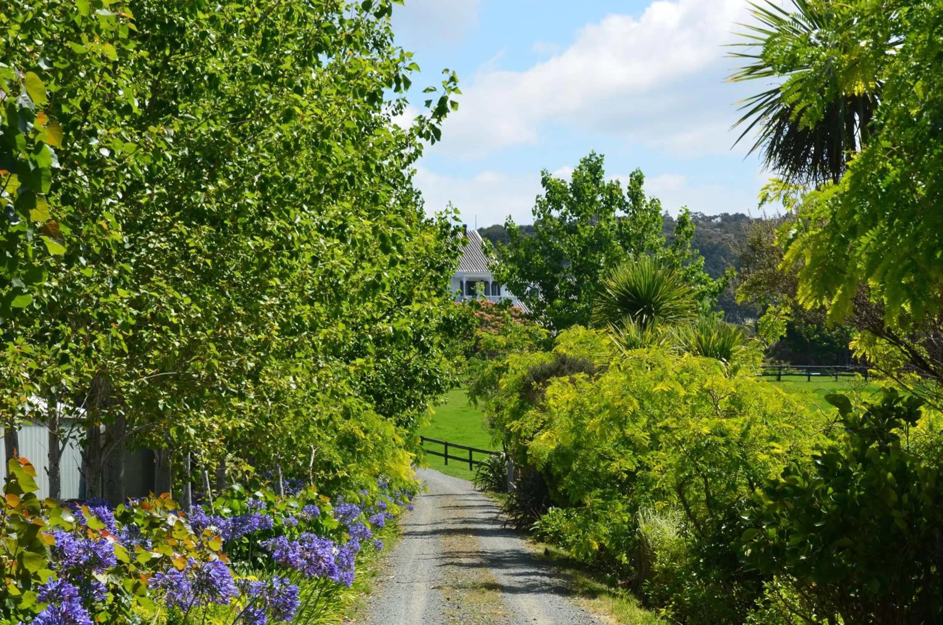 Garden in Country Homestead at Black Sheep Farm