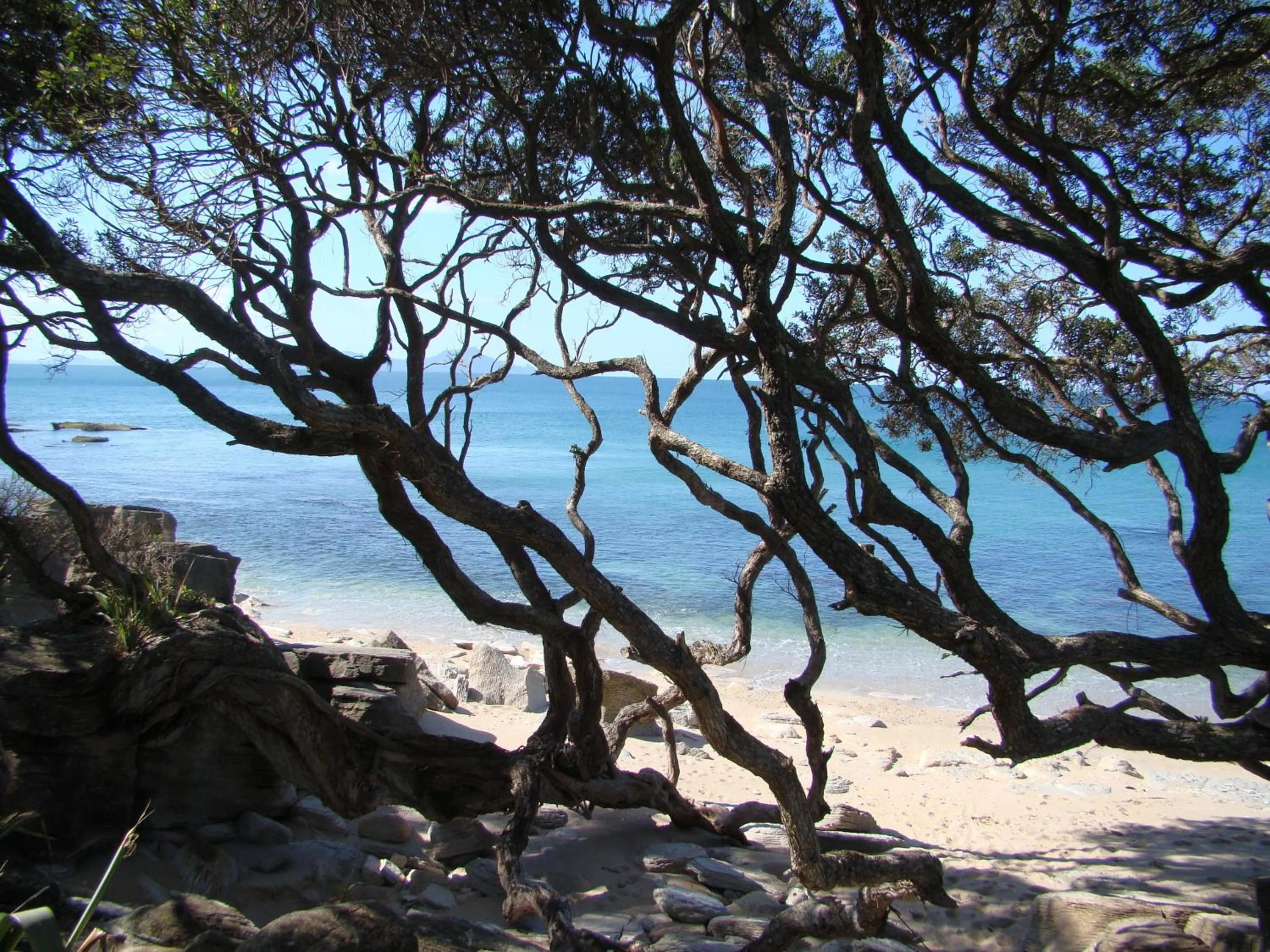 Beach in Country Homestead at Black Sheep Farm