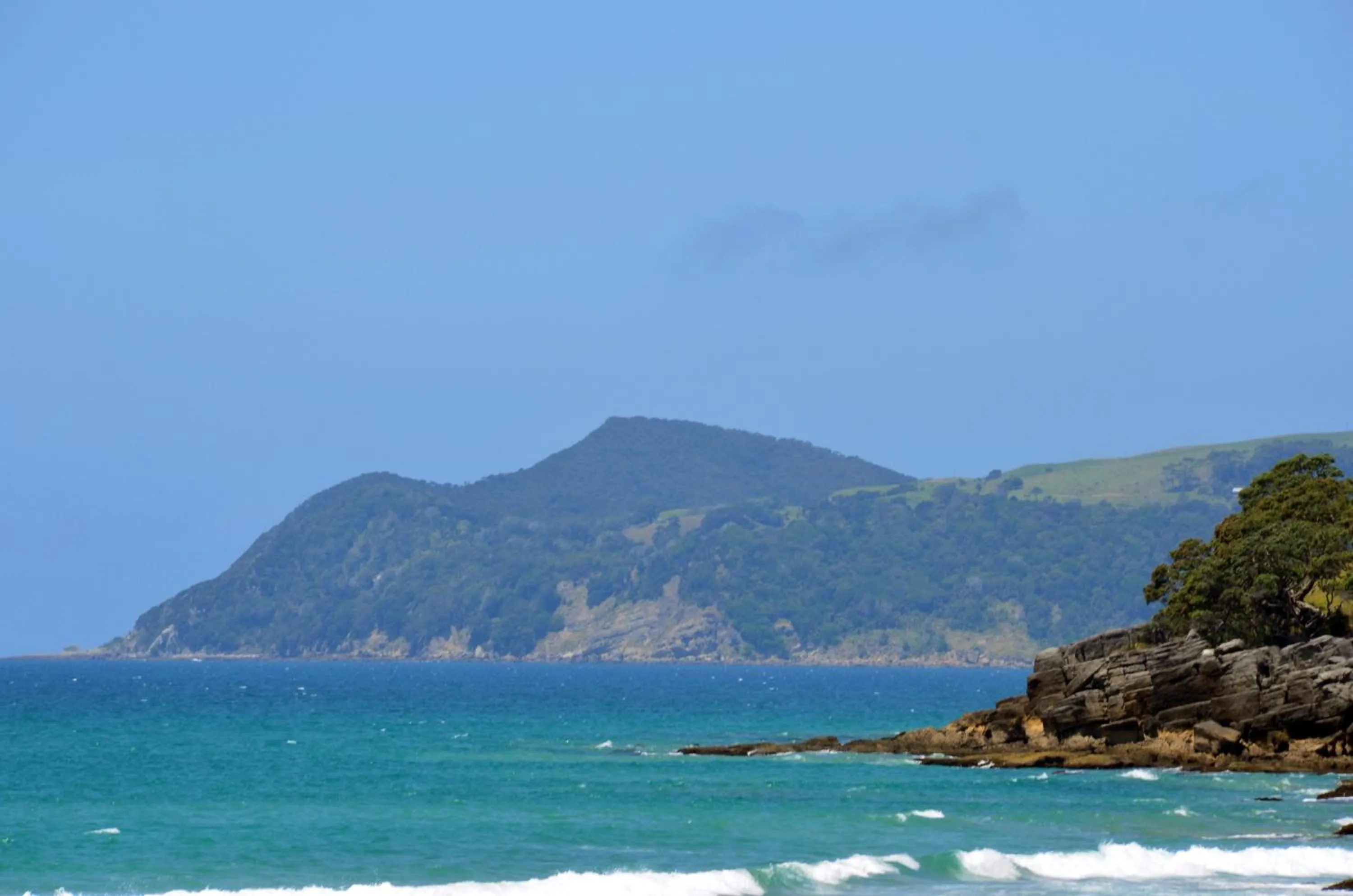 Natural landscape in Country Homestead at Black Sheep Farm