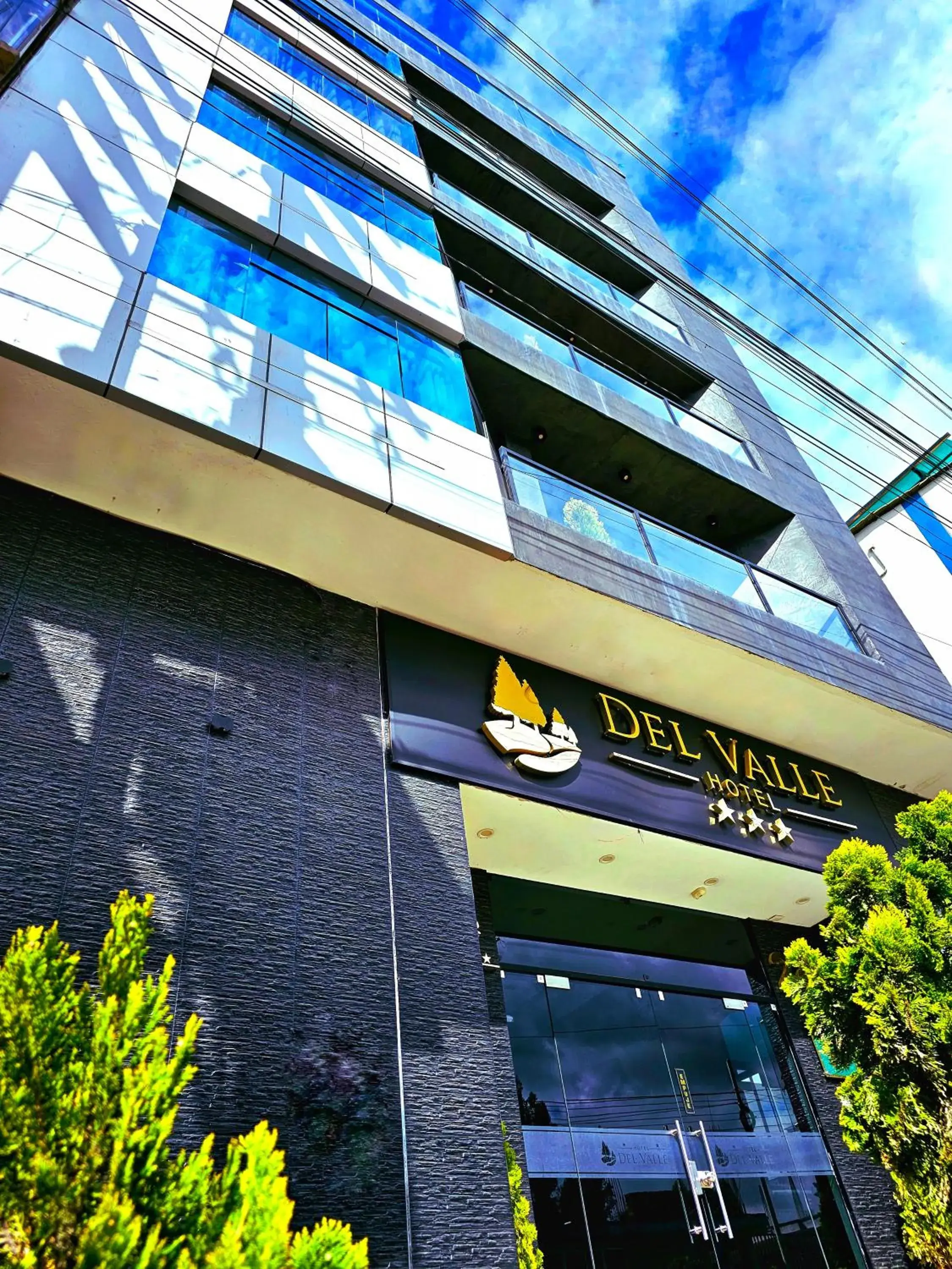 Hotel del Valle Hotel del Valle