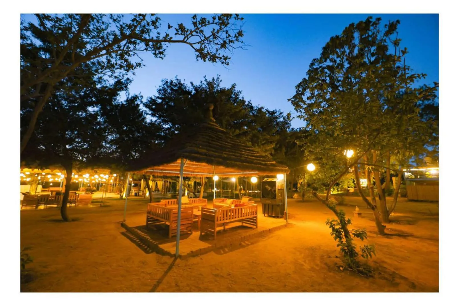 Restaurant/places to eat in Aranya by Stories