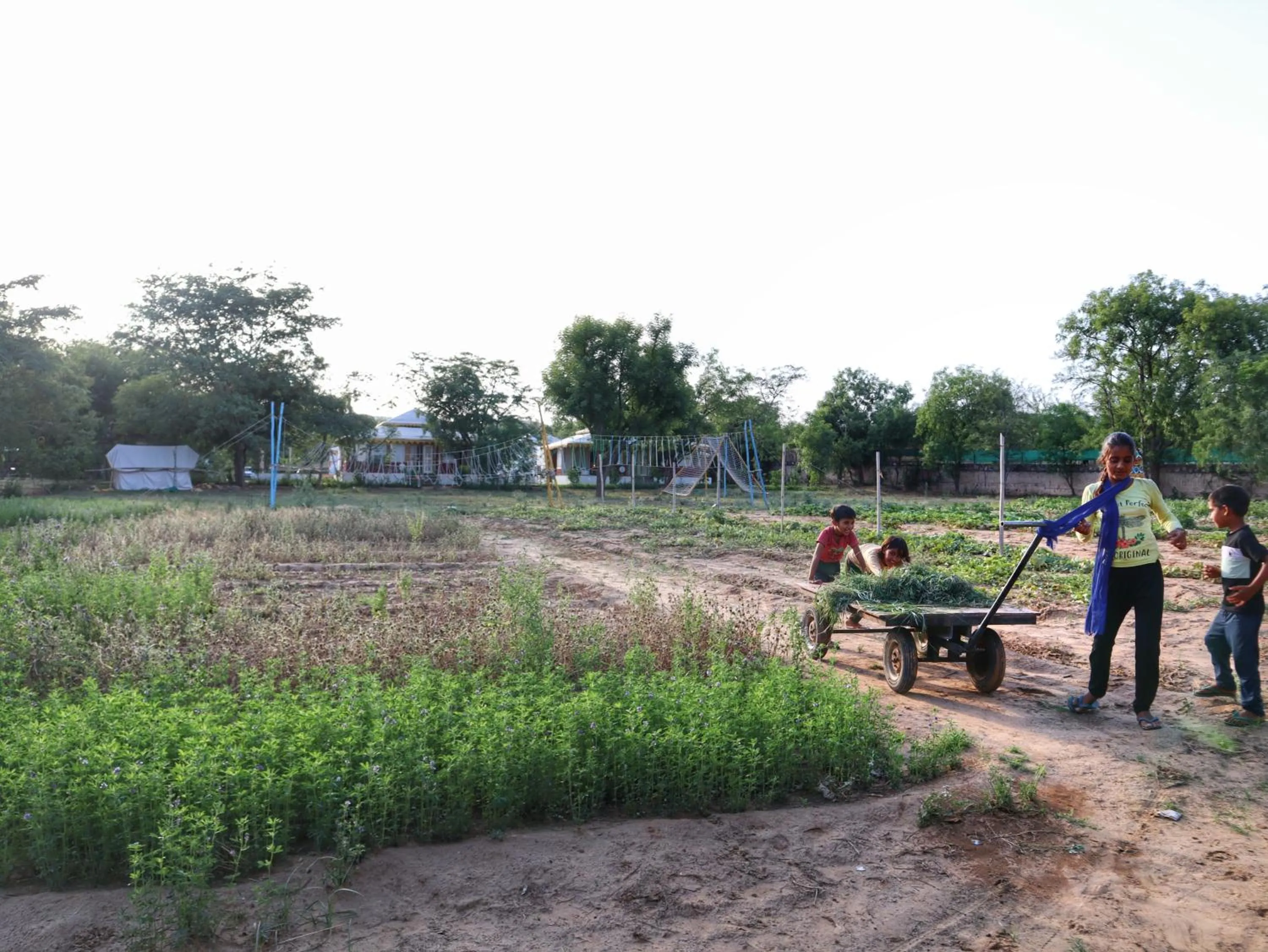 Children play ground in Aranya by Stories