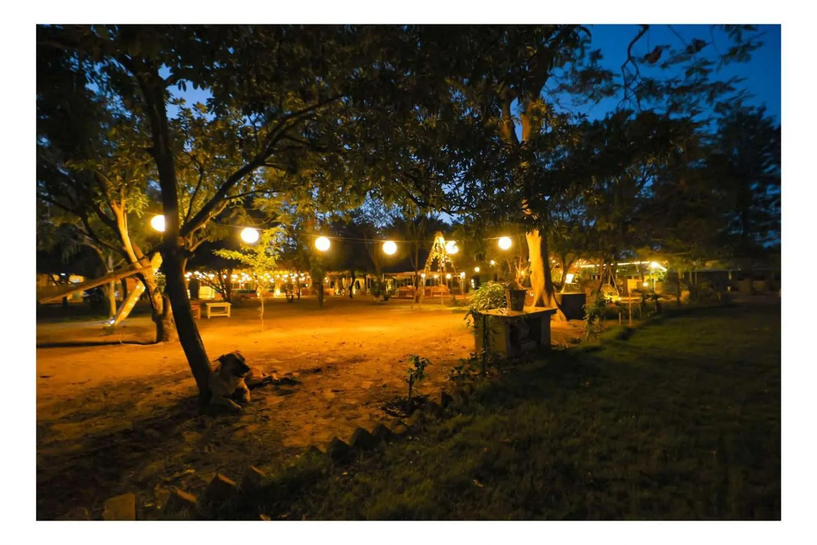 Restaurant/places to eat in Aranya by Stories