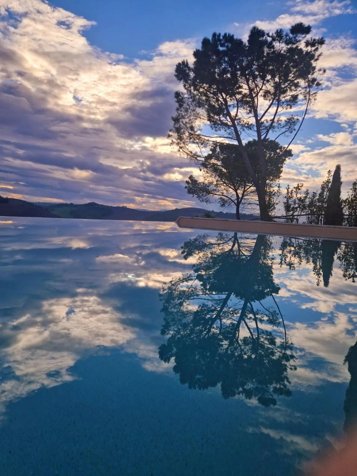 Pool view in Tenuta d'Arbia, Siena