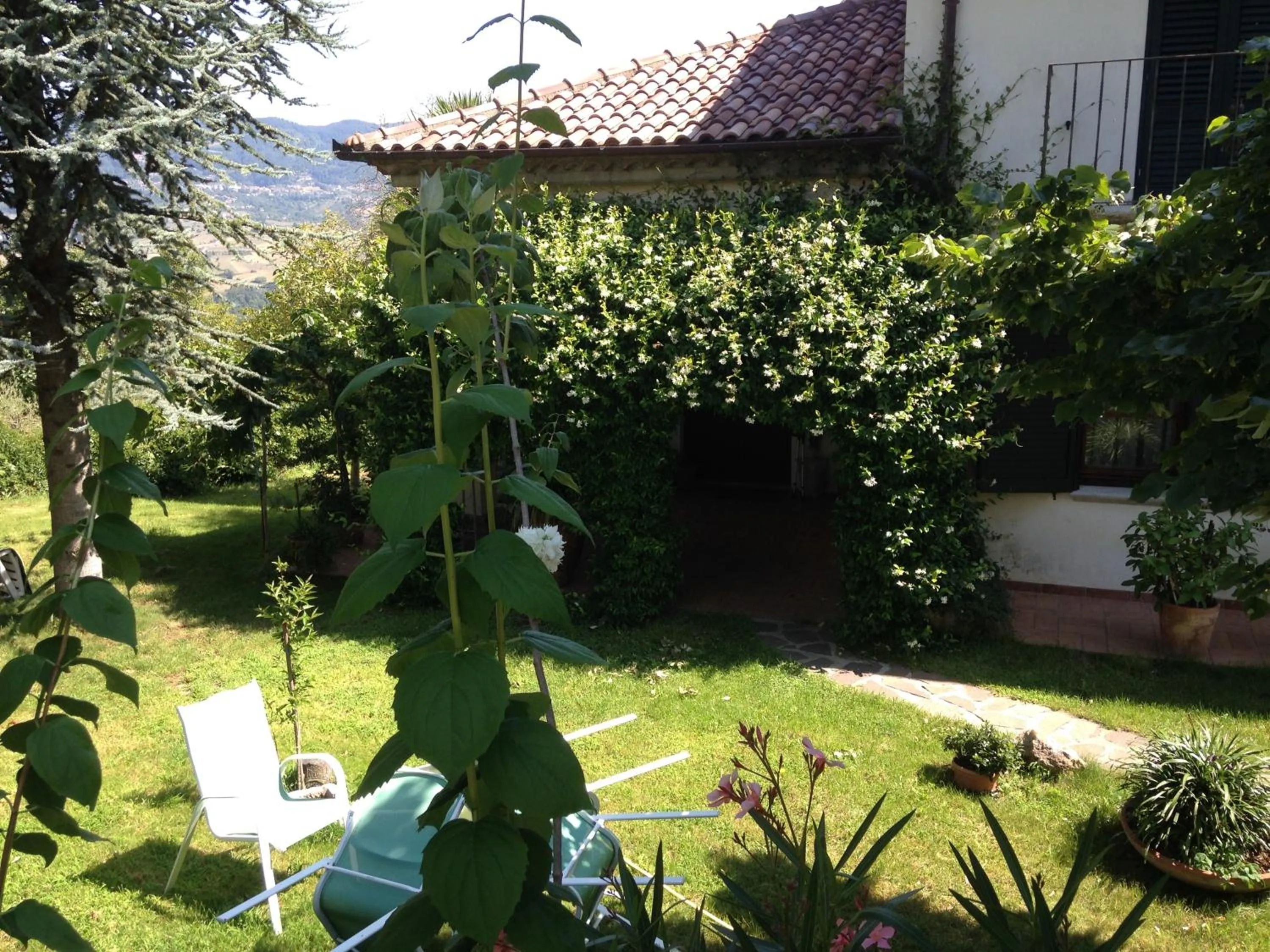 Garden in Al Vecchio Camino