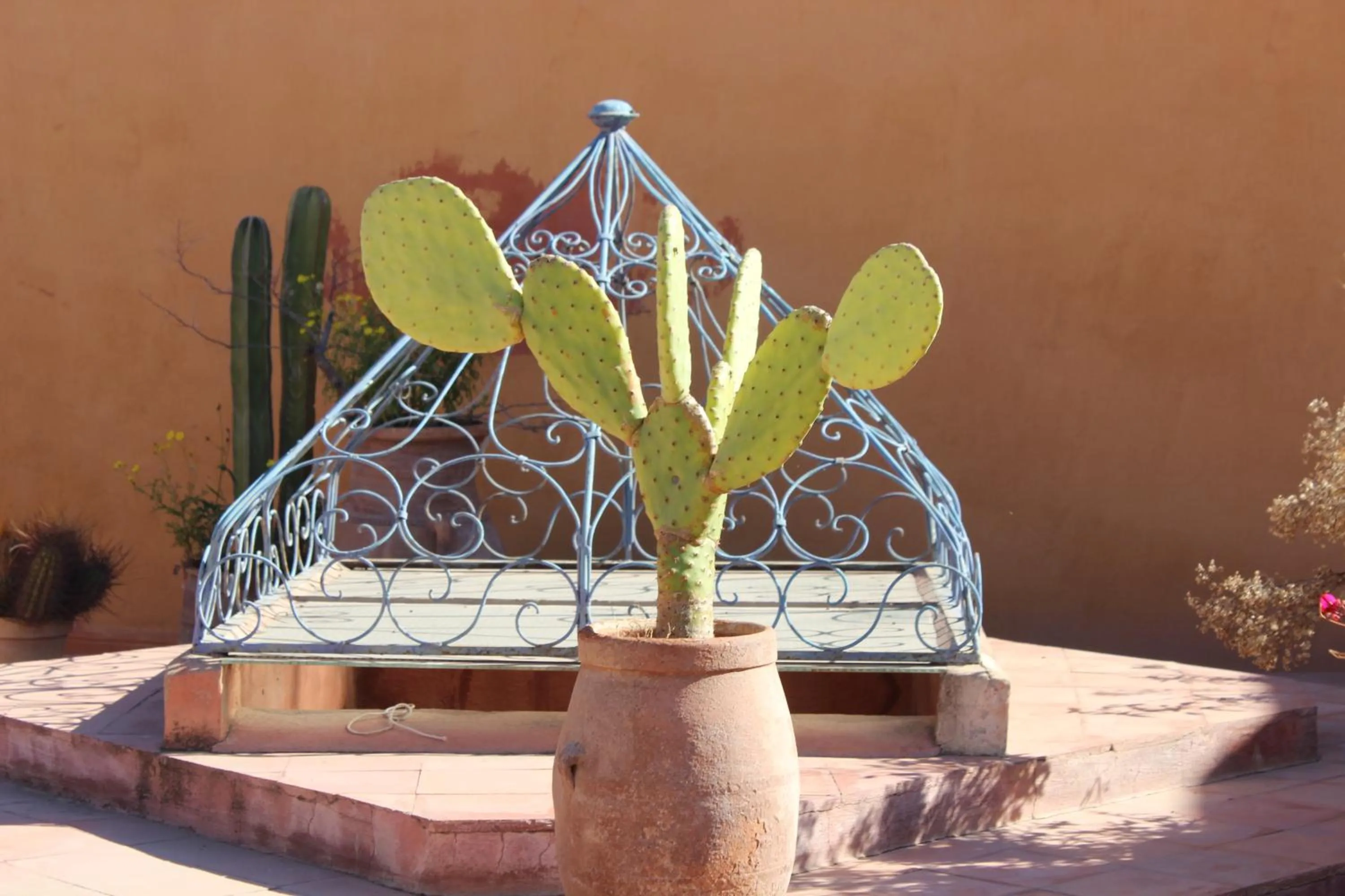 BBQ facilities in Riad Jnan El Cadi