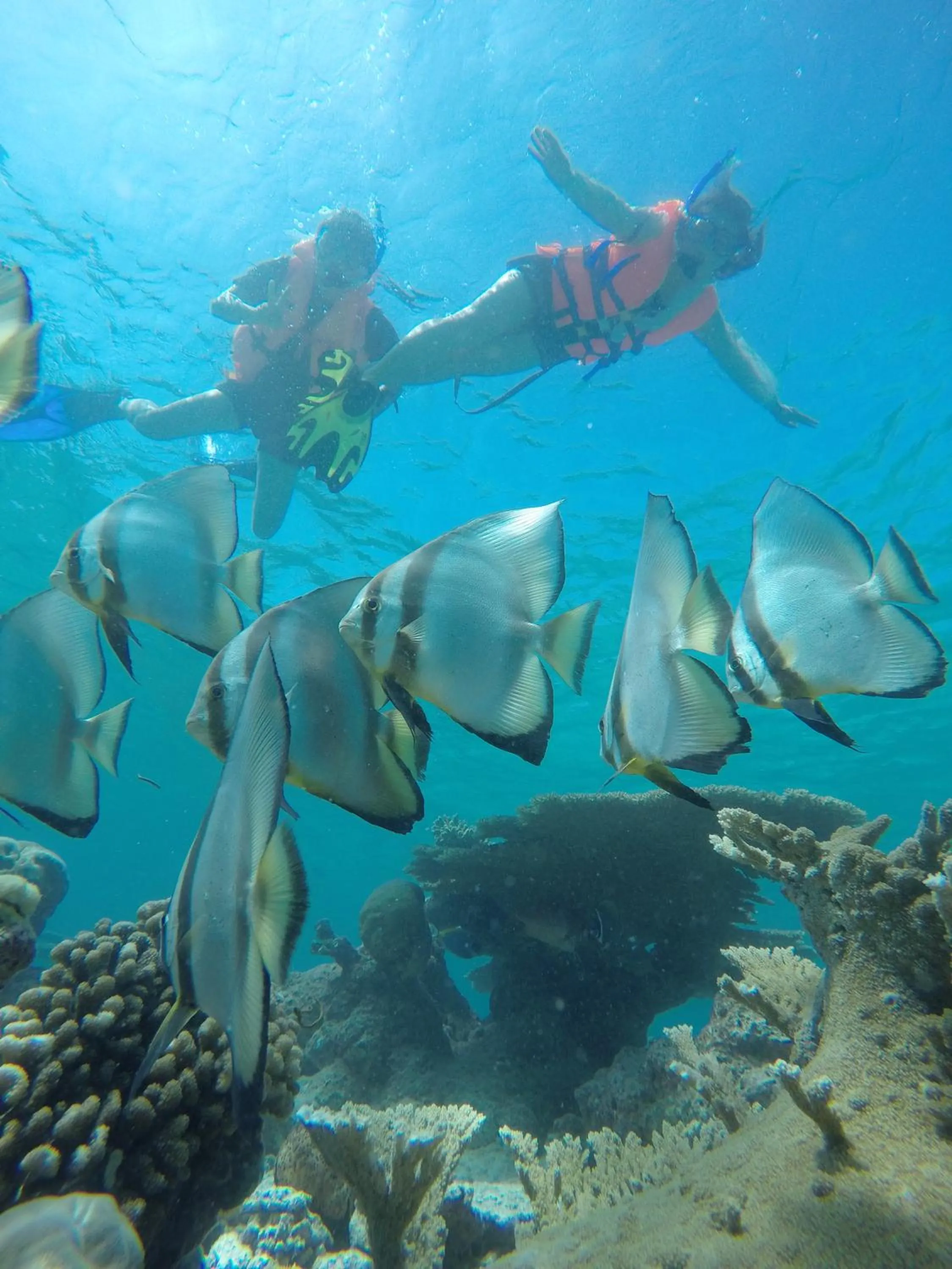 Snorkeling in Rasdhoo Coralville